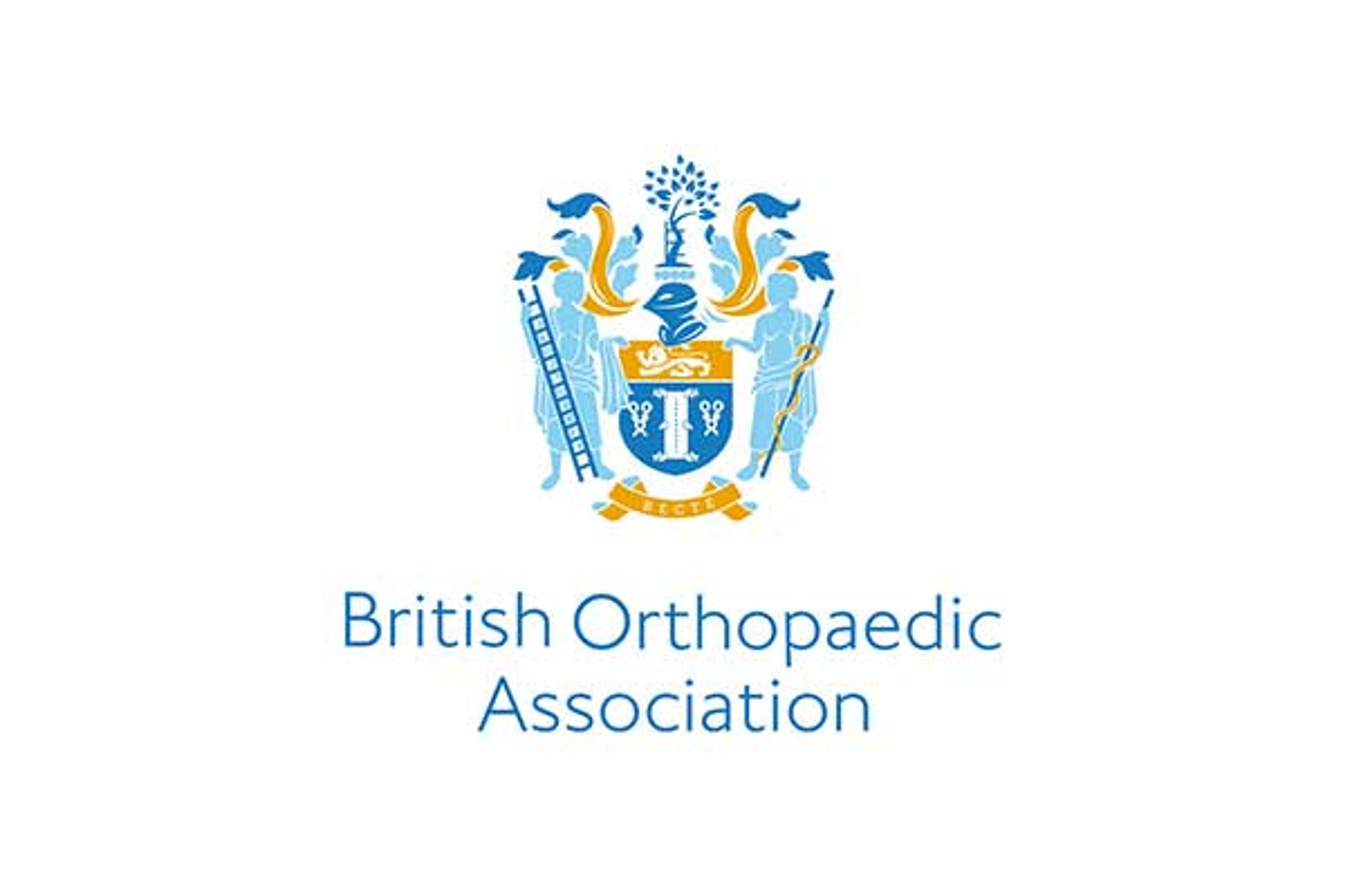 British Orthopaedic Association