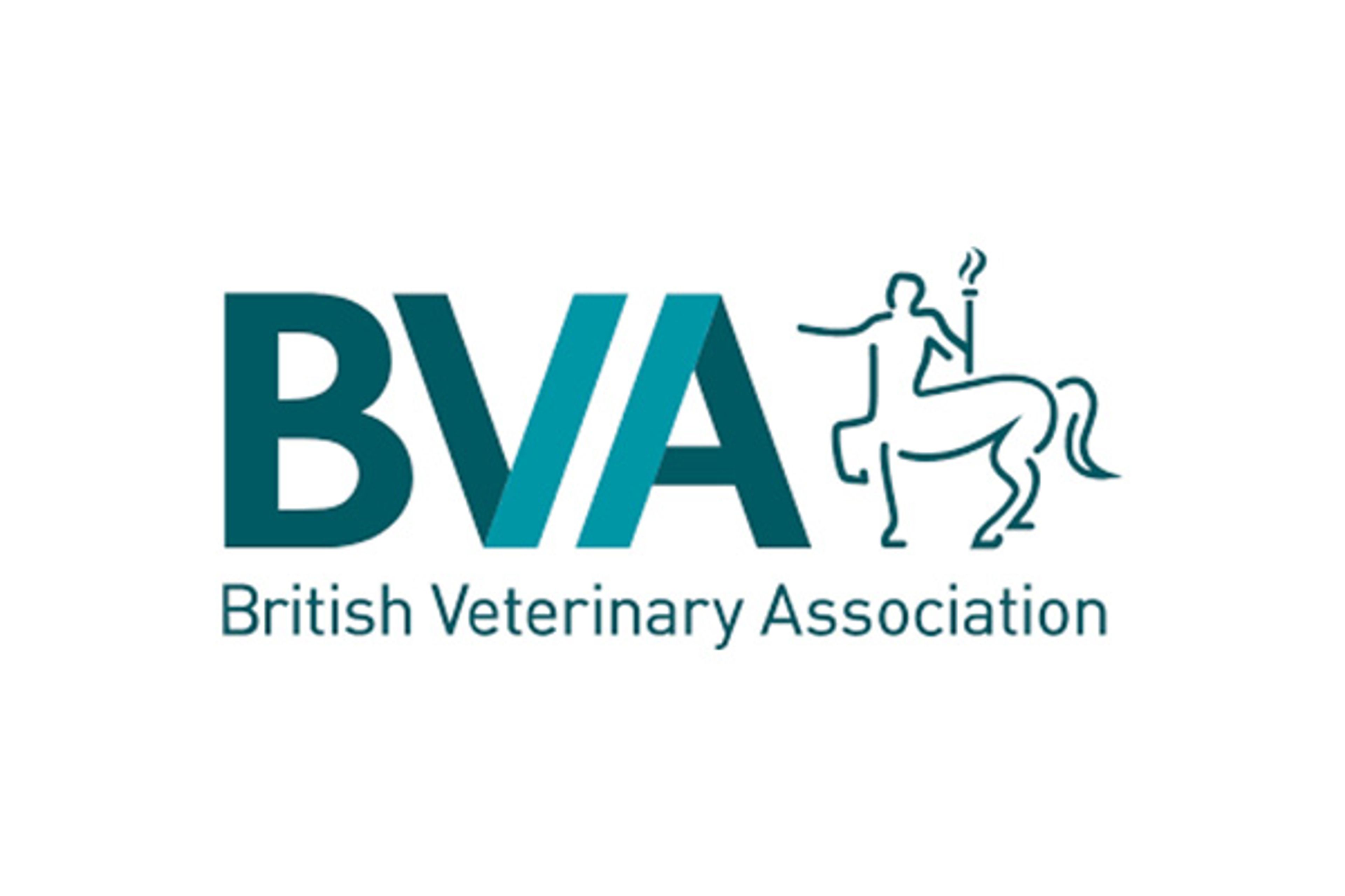 British Veterinary Association: Requirements Gathering, ITT, Partner Selection