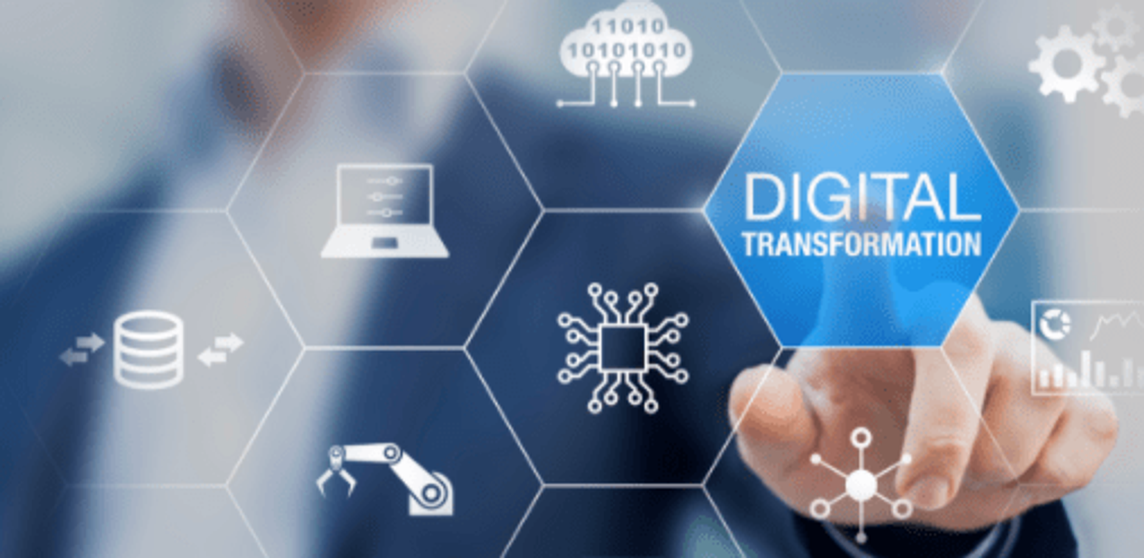 How can my organisation become digitally mature?