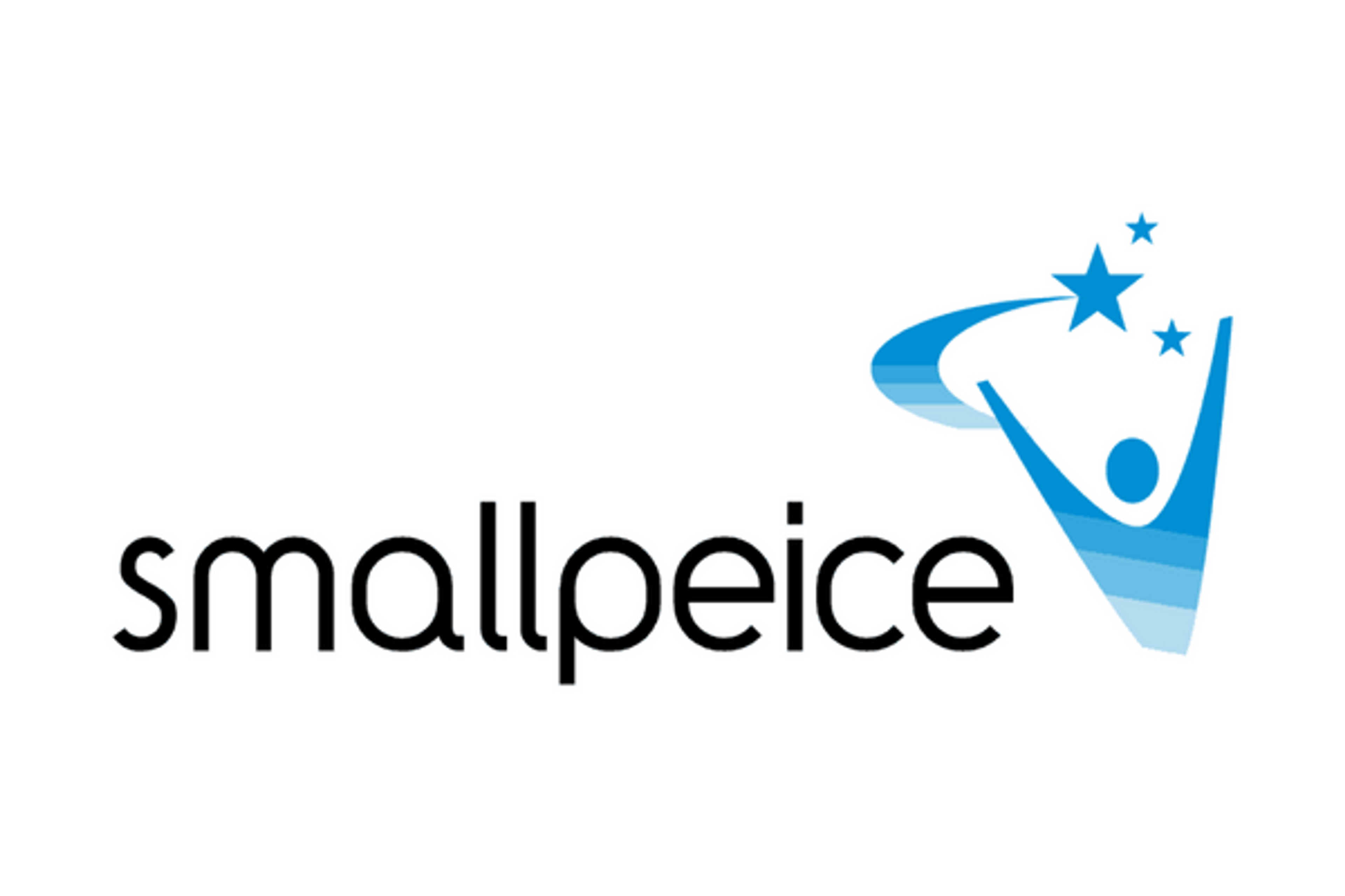 Smallpeice Trust: IT Assessment