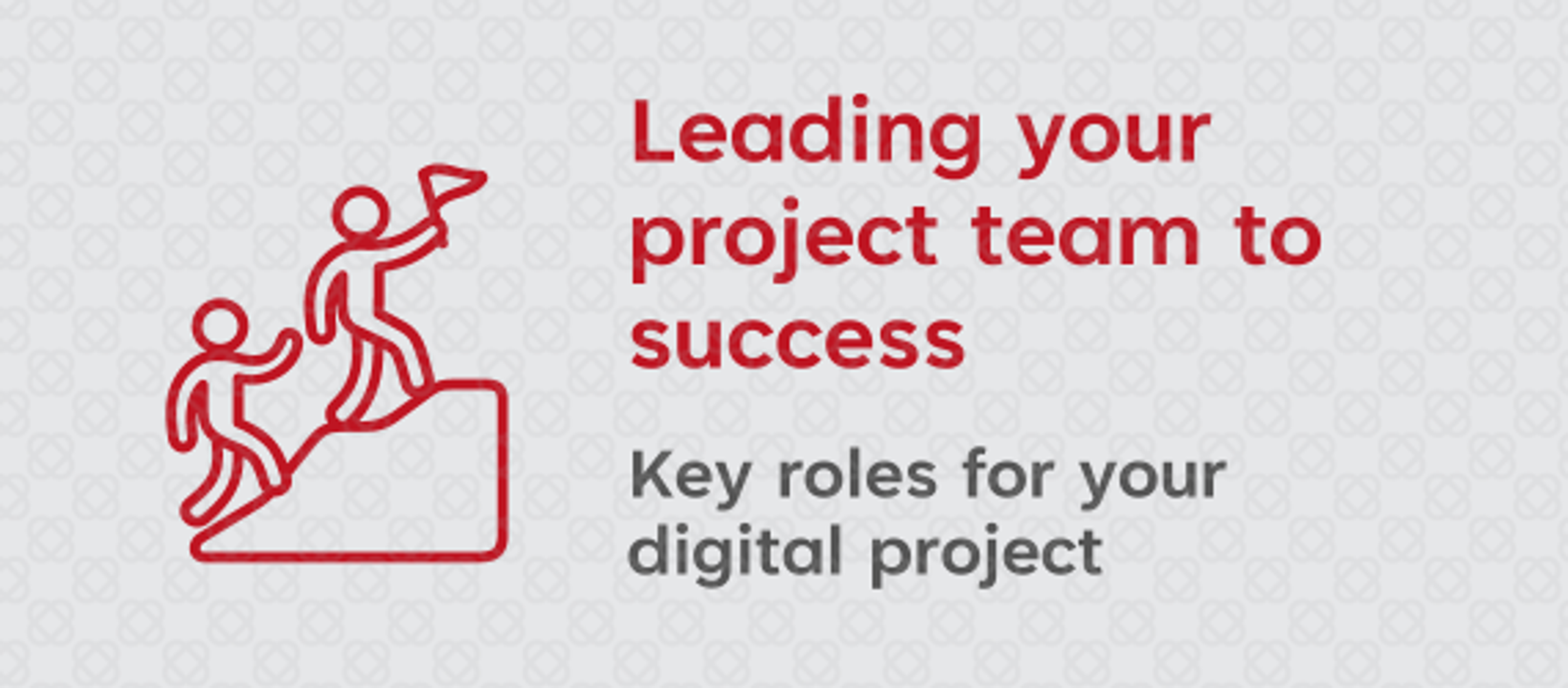 Leading your project team to success – key roles for your digital project
