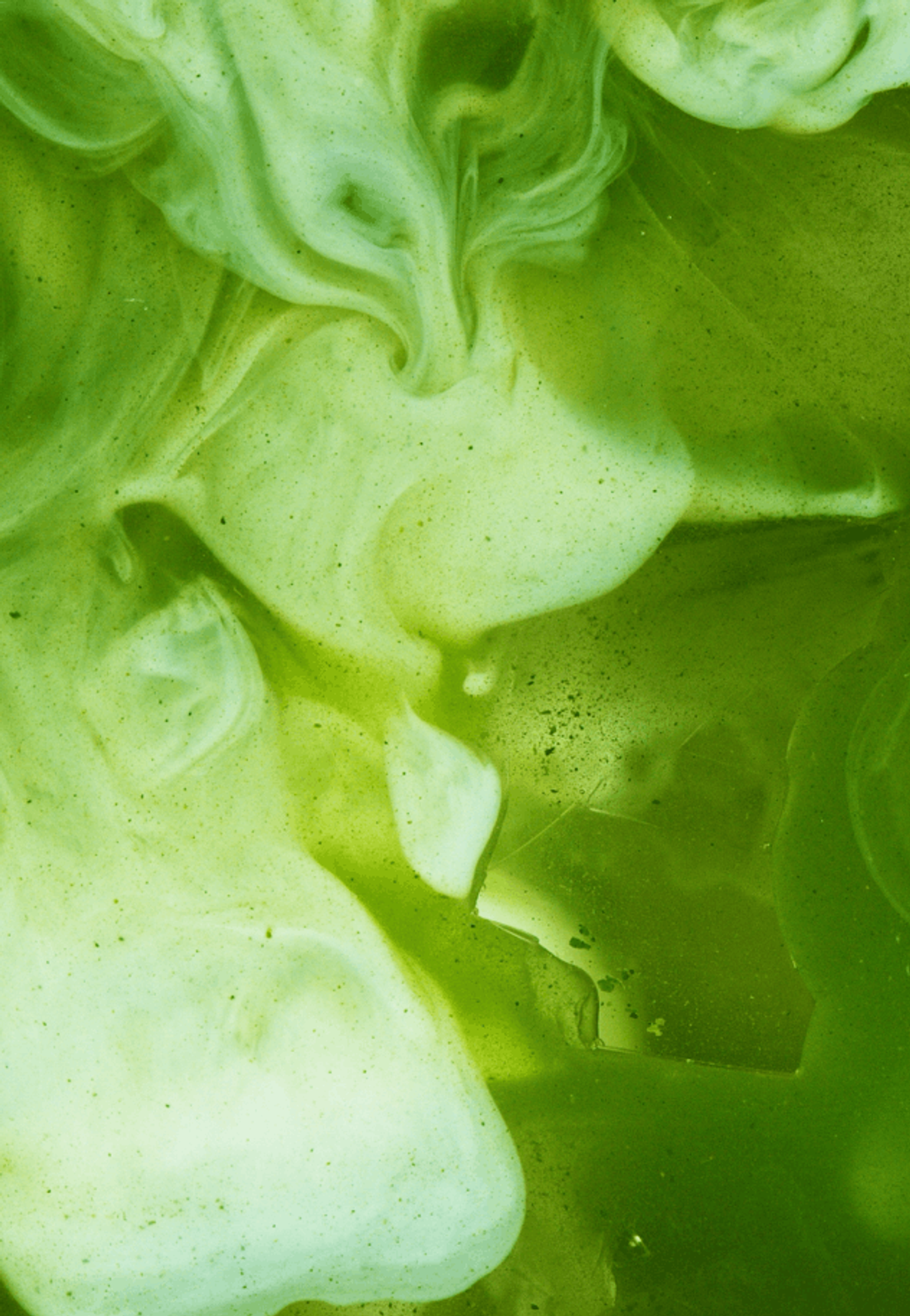 Best Matcha In London