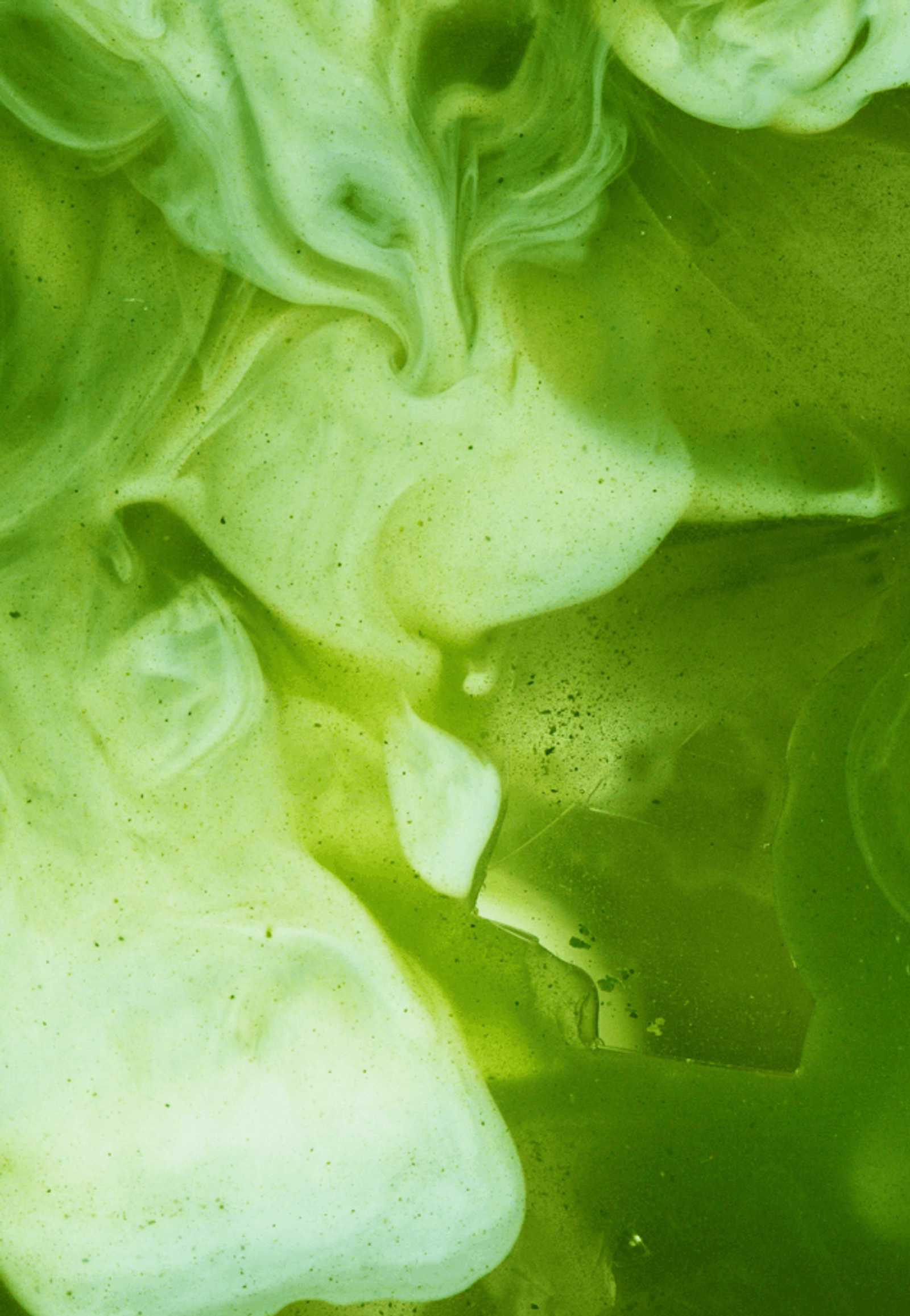 Best Matcha In London