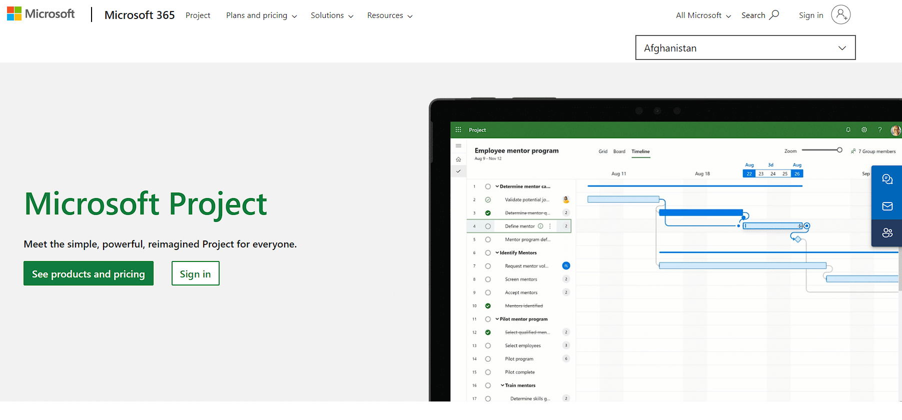 Microsoft Project screenshot