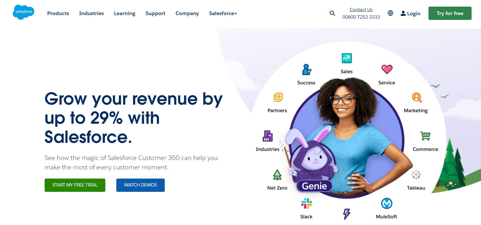 SalesForce SaaS Application