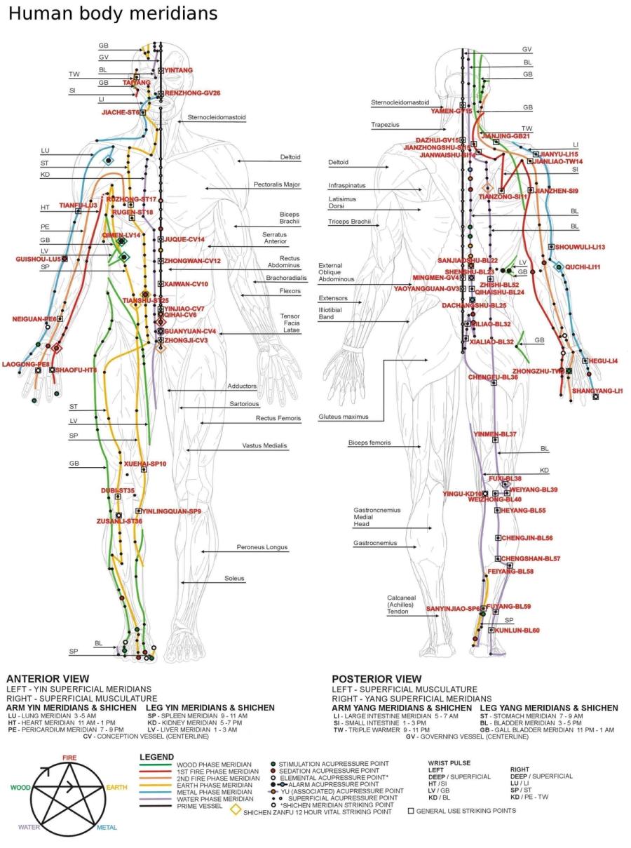 A reference chart of the body's meridians, showing anterior and posterior views with the twelve channels traced in color, the acupuncture points labeled by name and number, and a five-phase diagram in the legend.