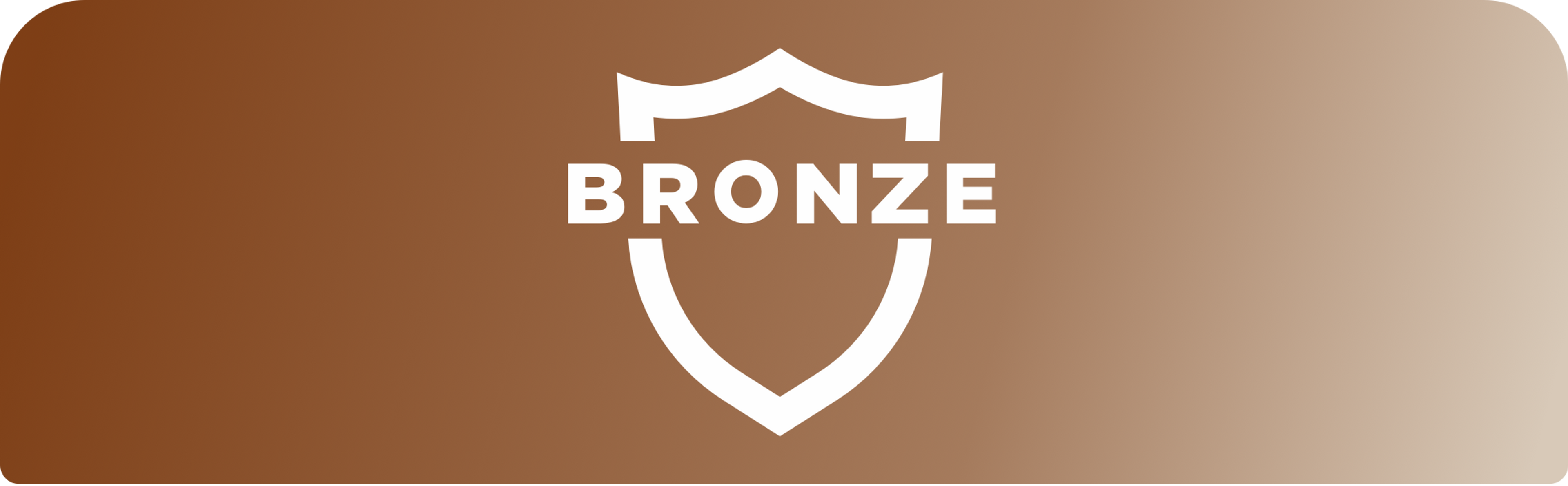 Image with brown background and white icon of a shield with words " BRONZE" in capital letters at its center