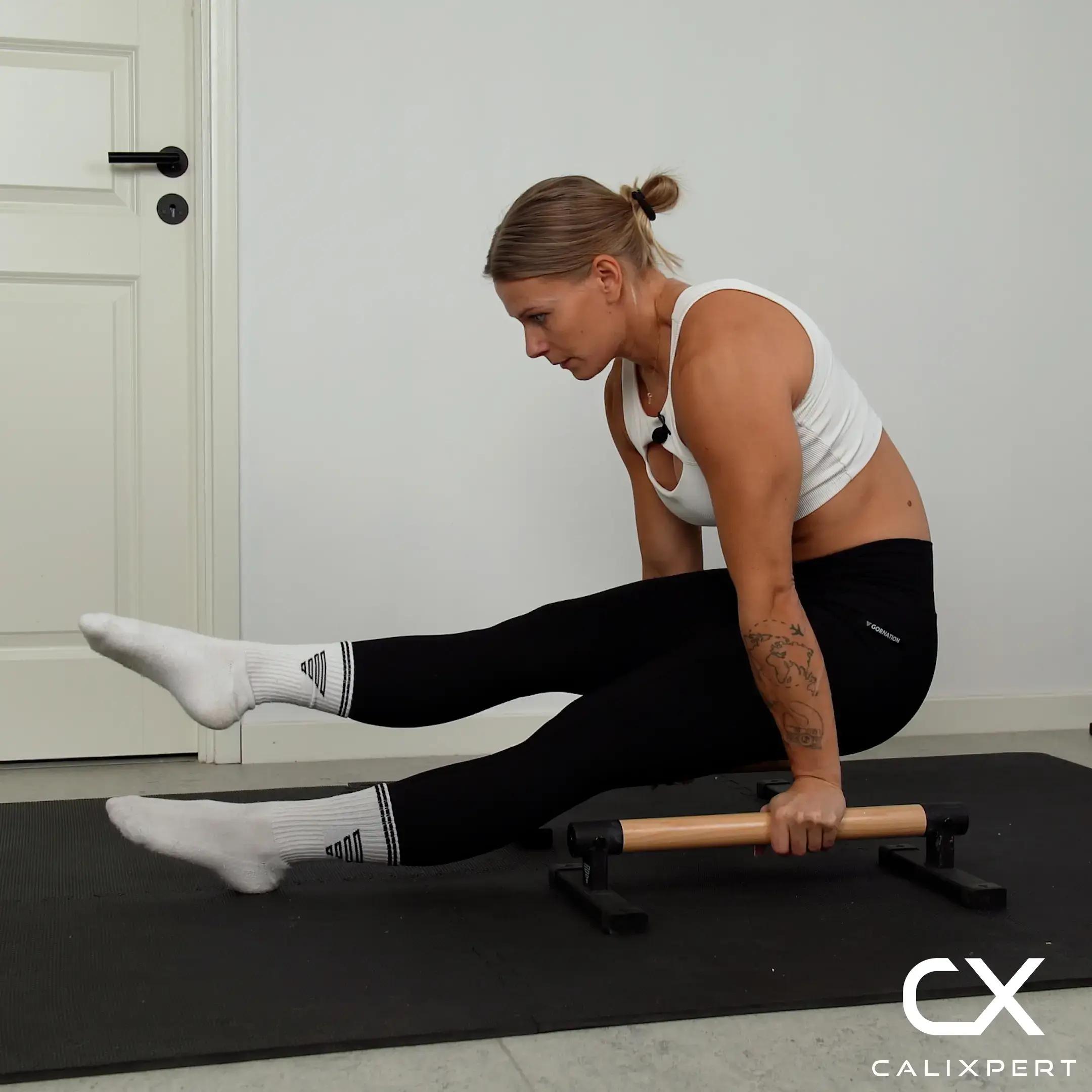 L-sit Support Hold With Leg Lift