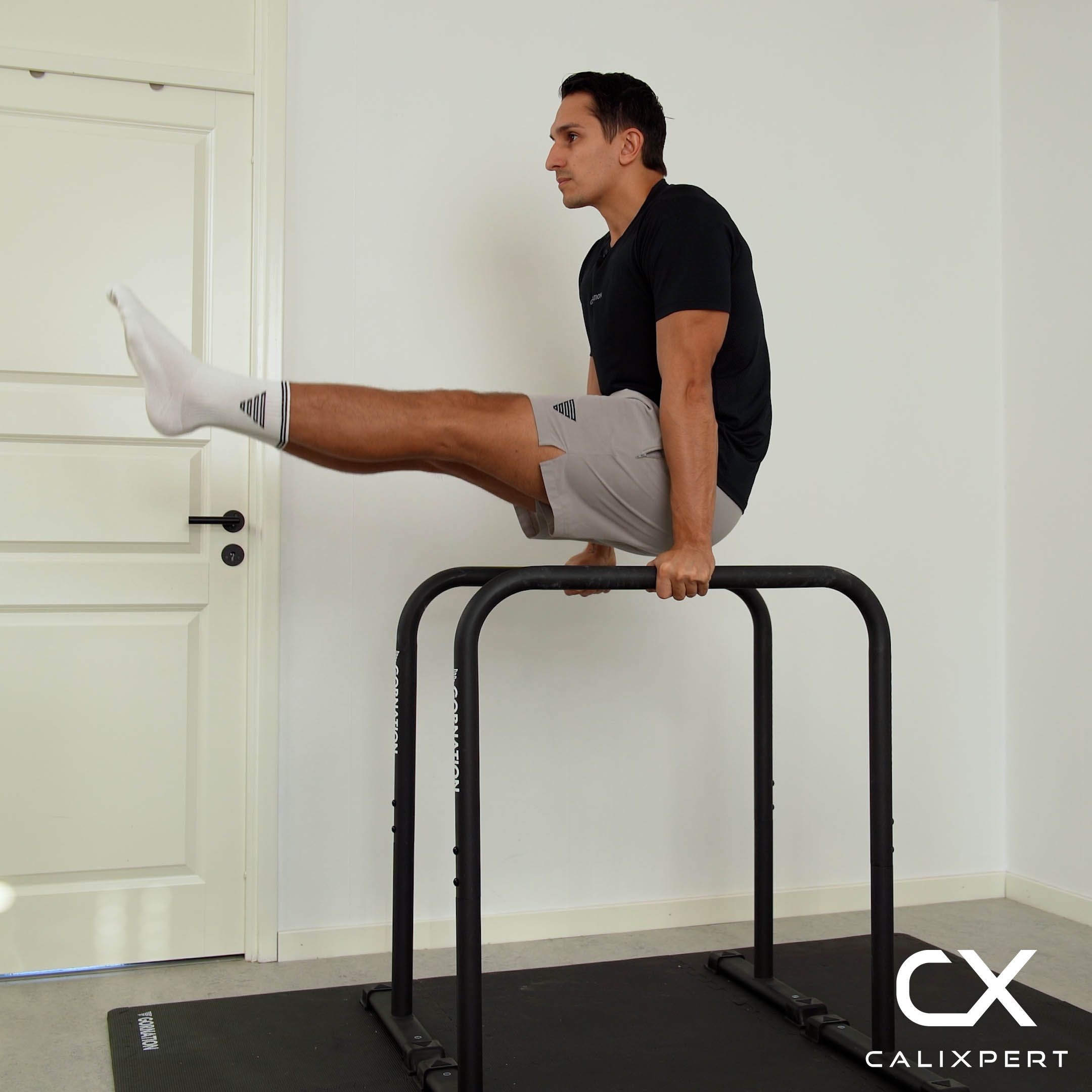 Dip Bar Leg Raises