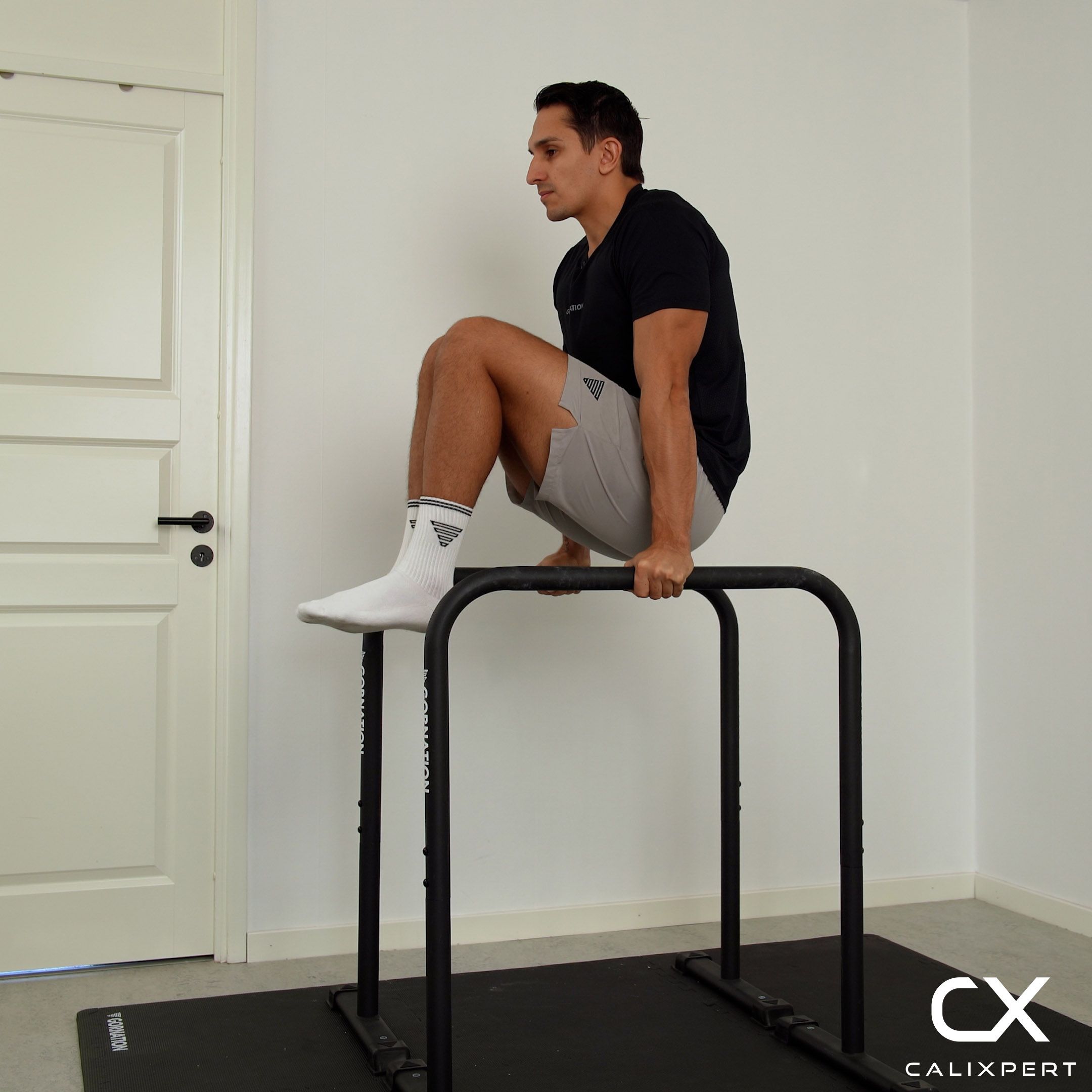 Dip Bar Knee Raises