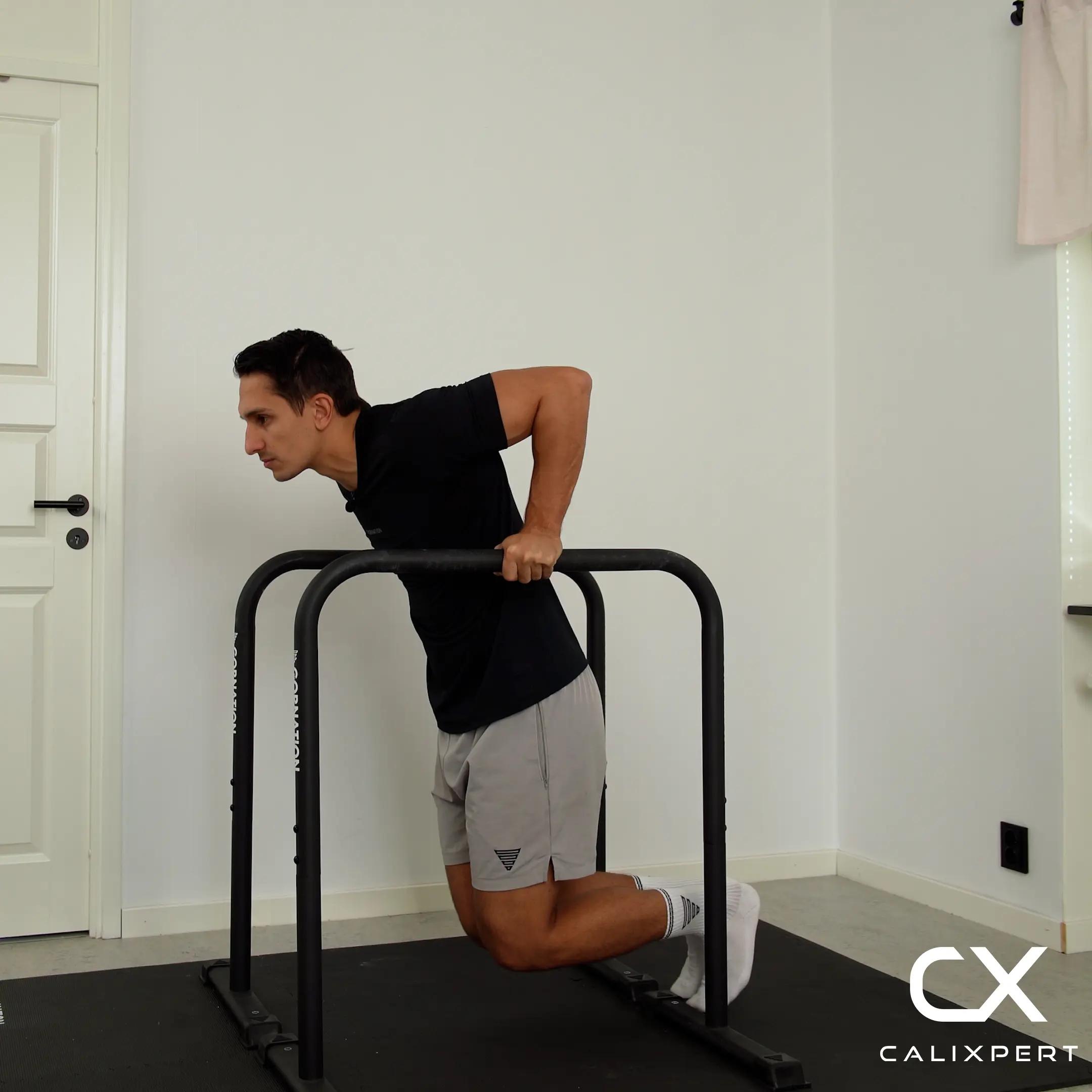 Leg Assisted Dips