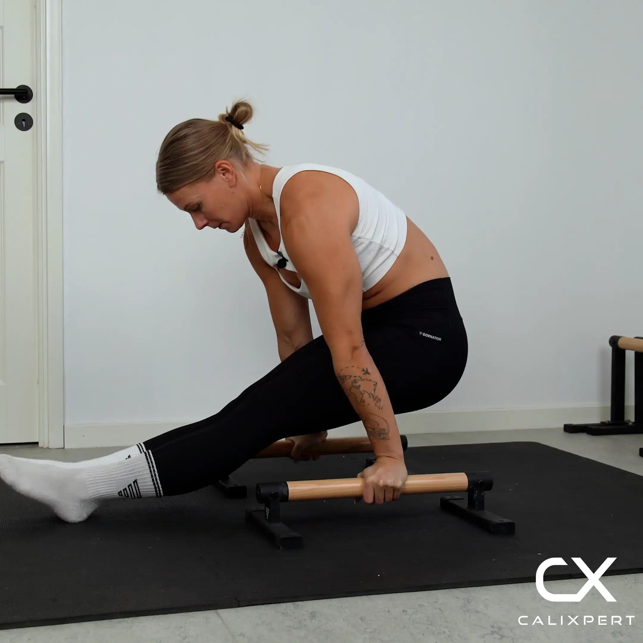 L-sit Support Shrugs