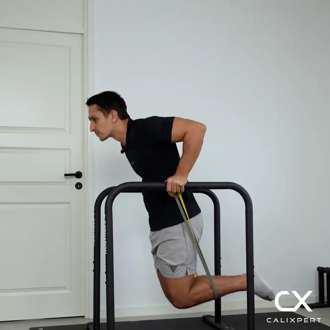Assisted Dips