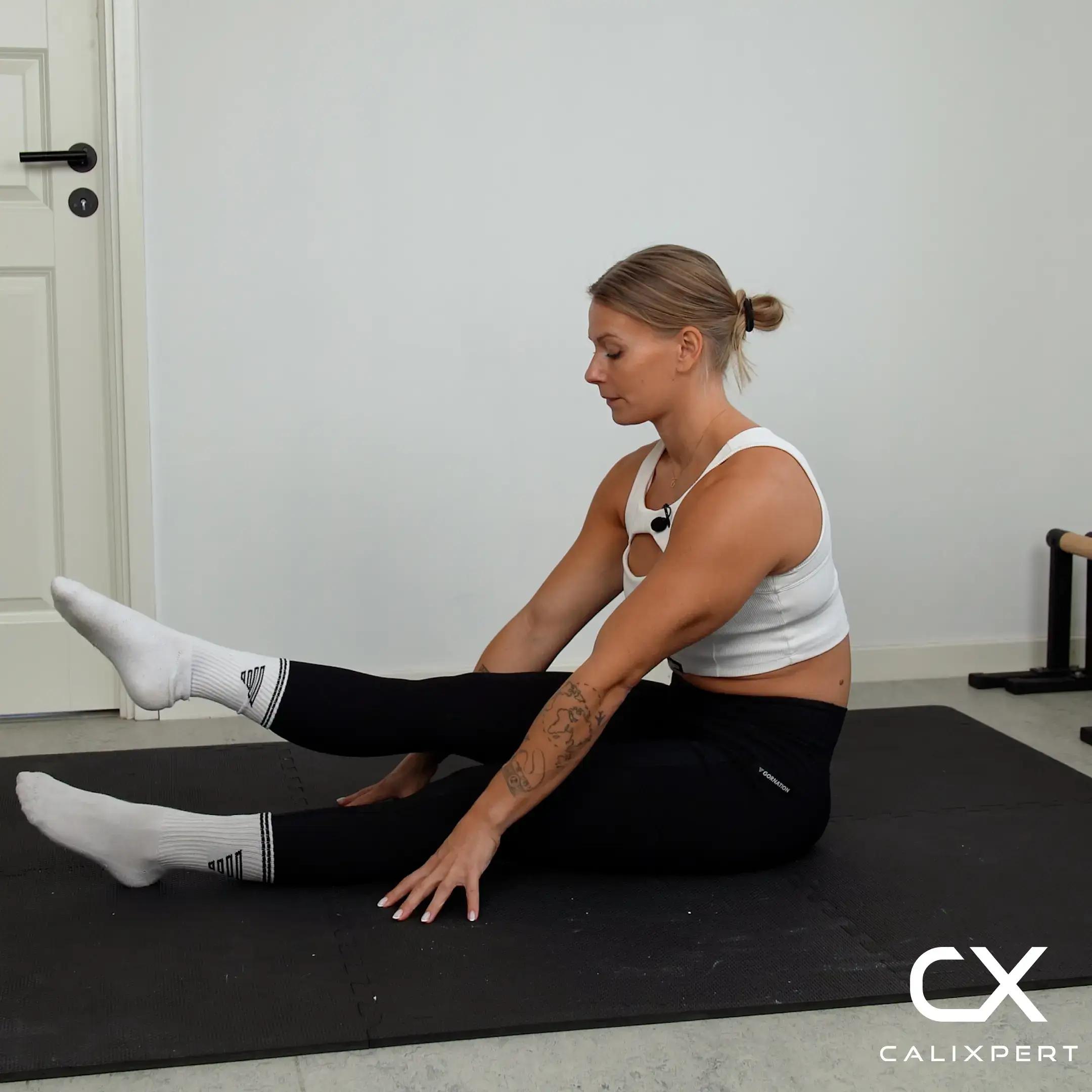 One Leg Pike Pulses