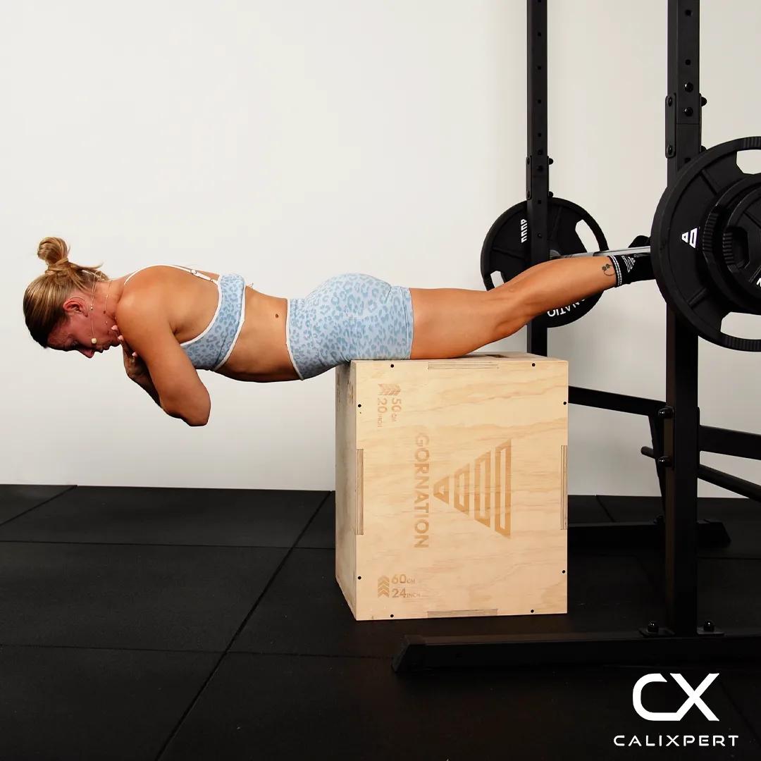 Back Extension