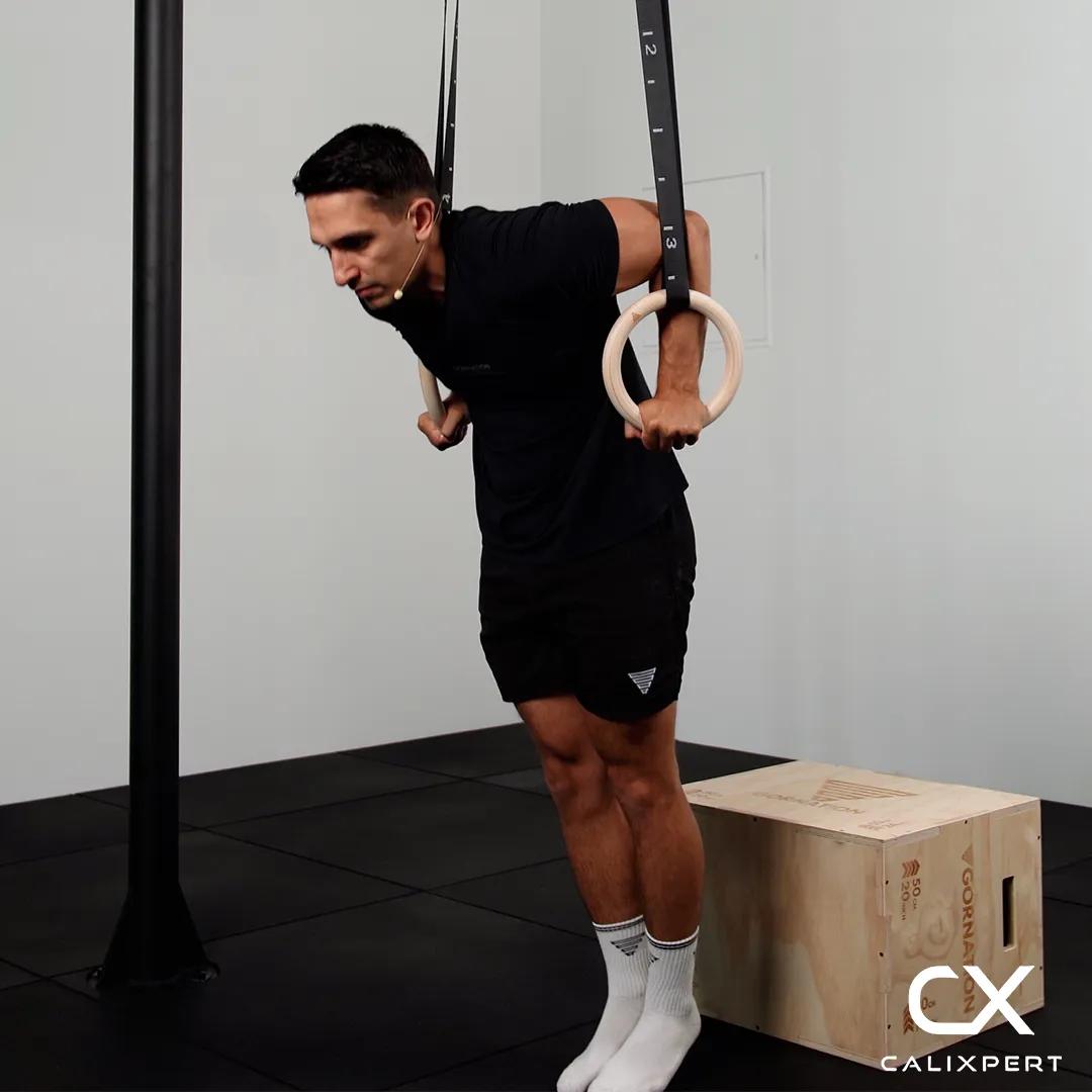 Ring Dips