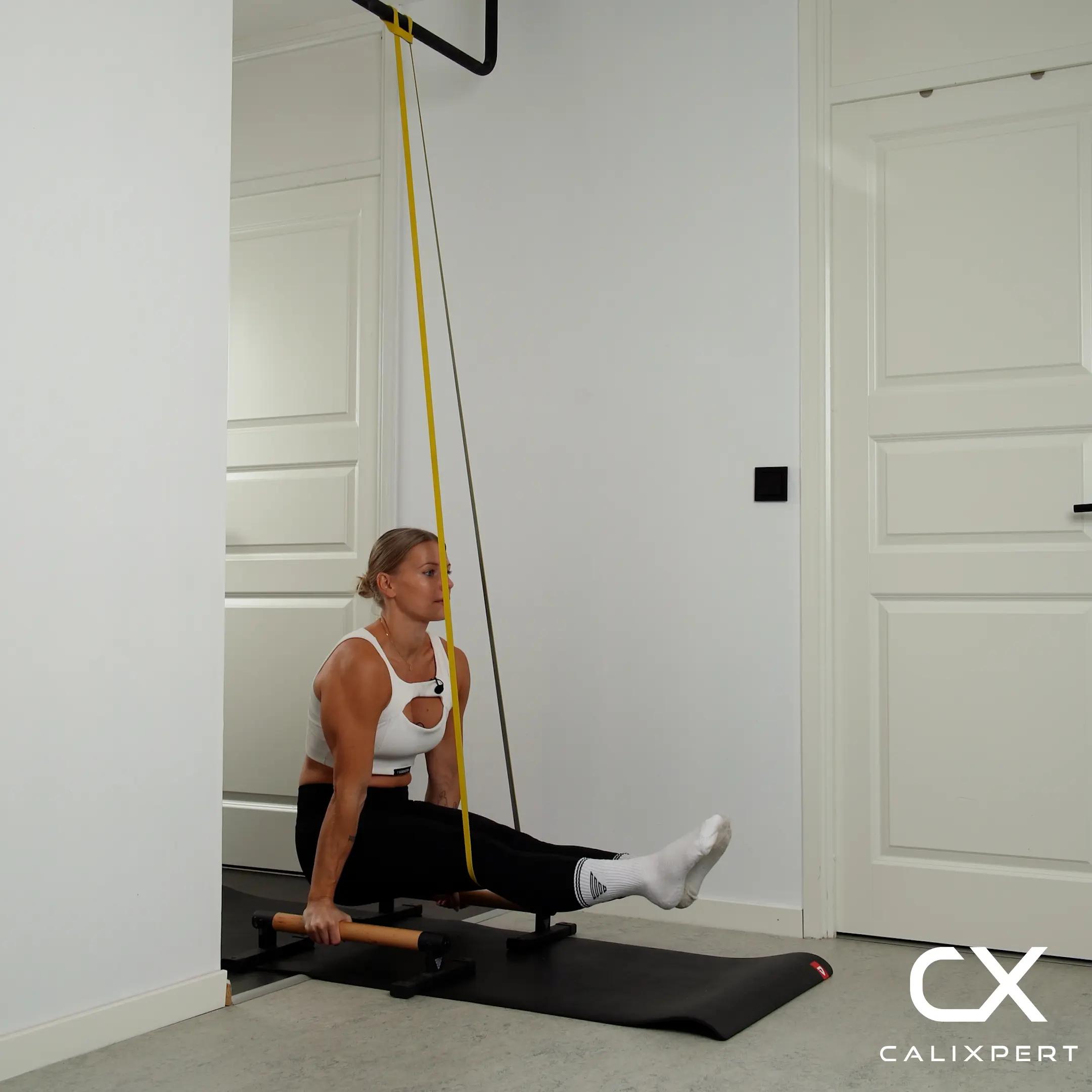 Assisted L-sit Hold