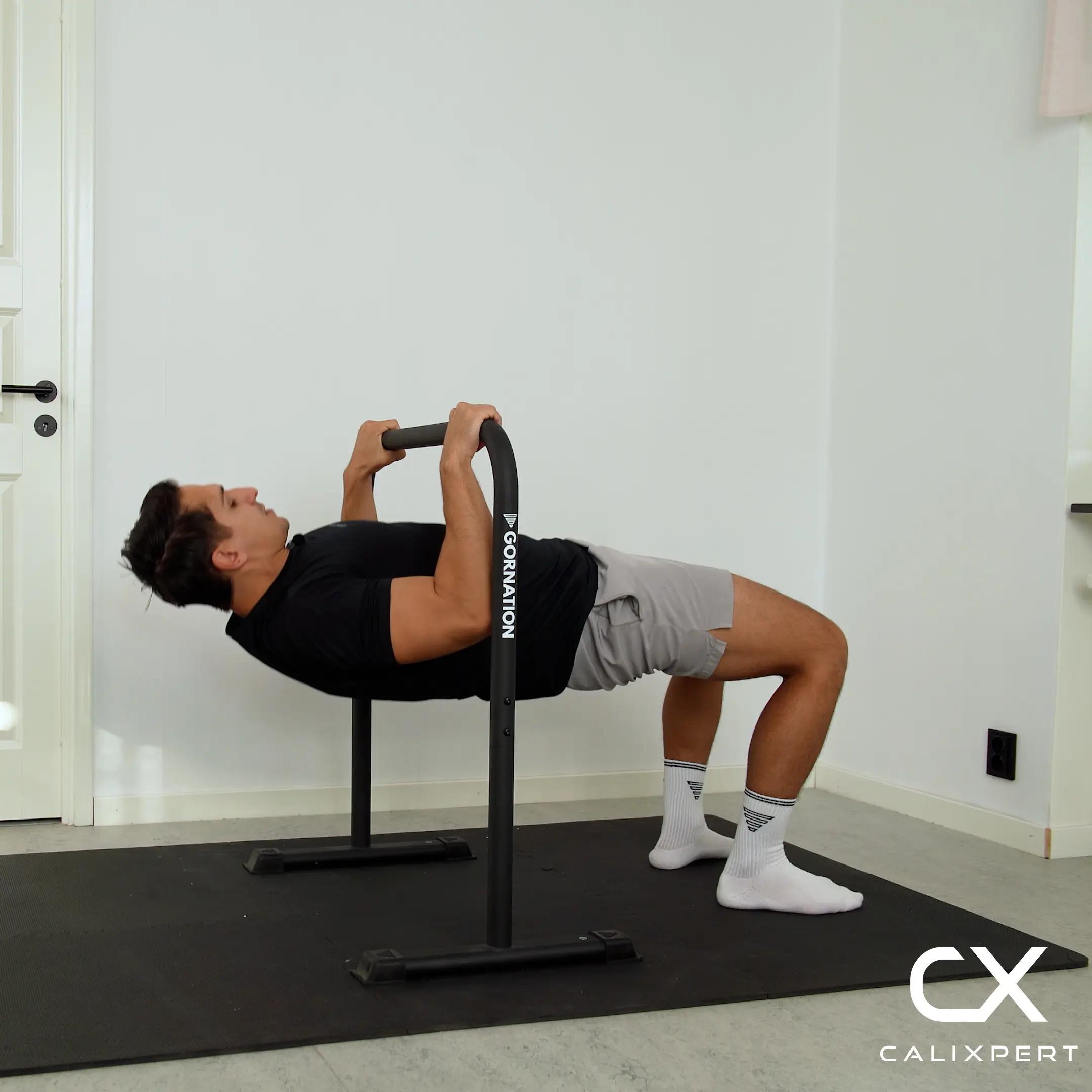 Bodyweight Rows / Australian Rows