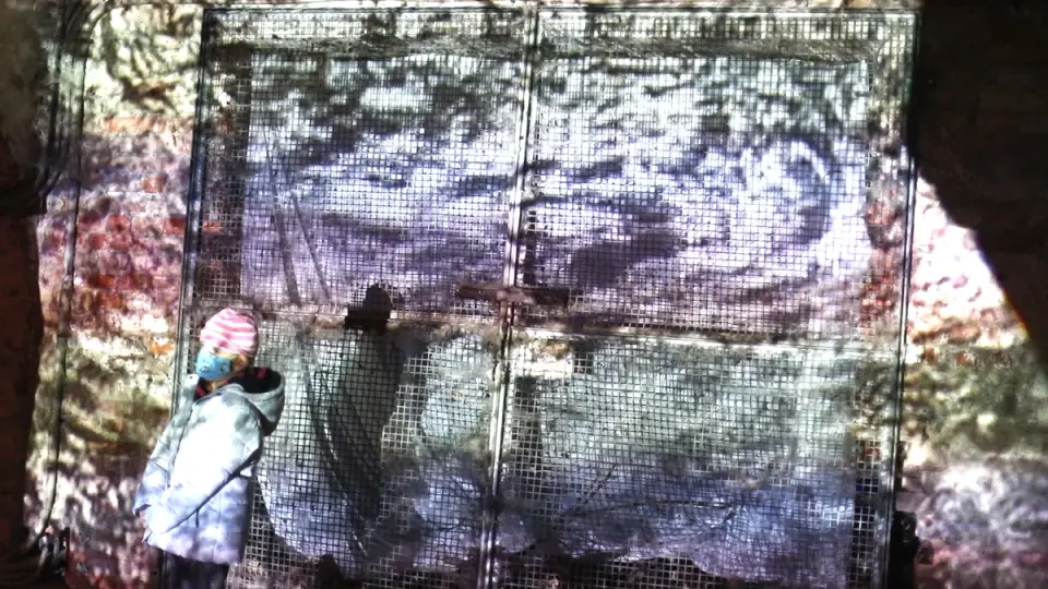 kuno.ist Artwork