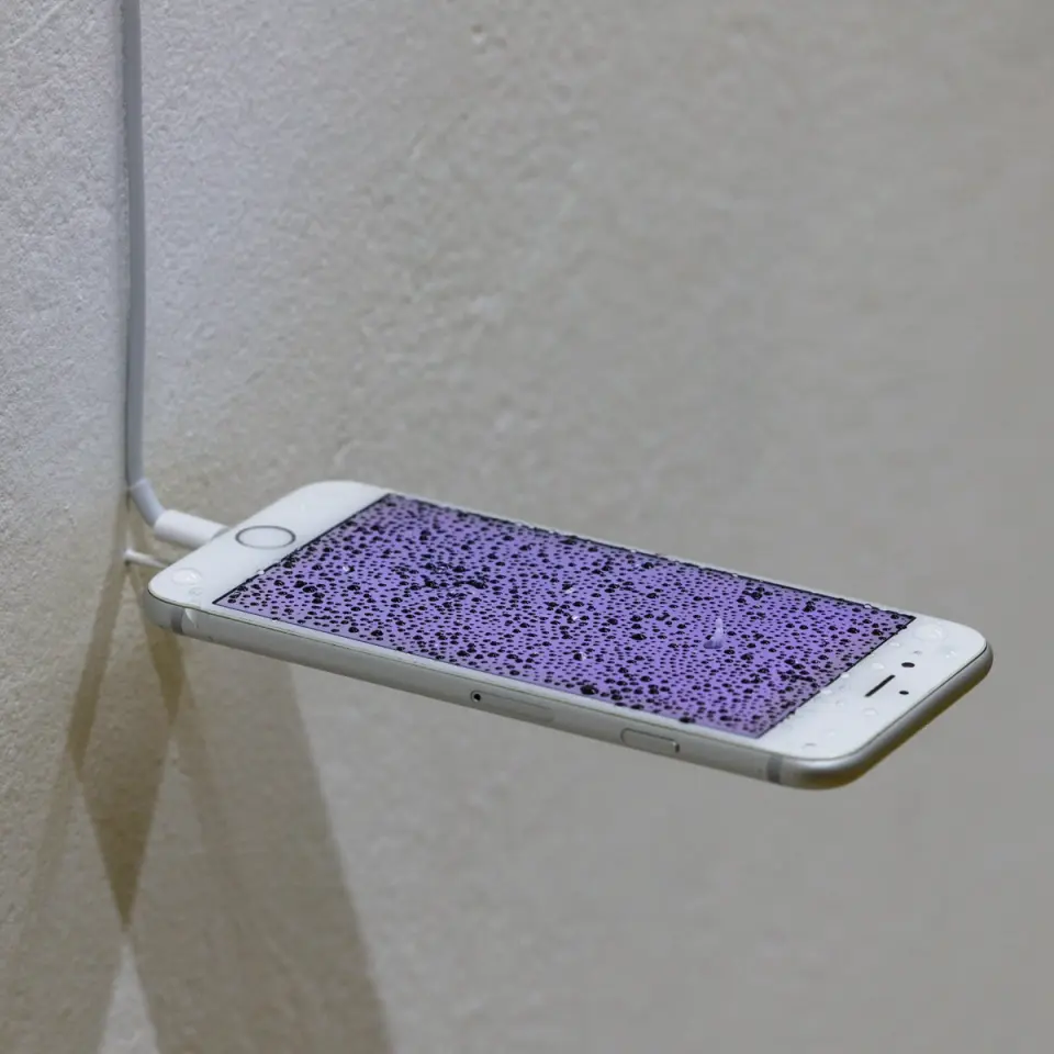 kuno.ist Artwork