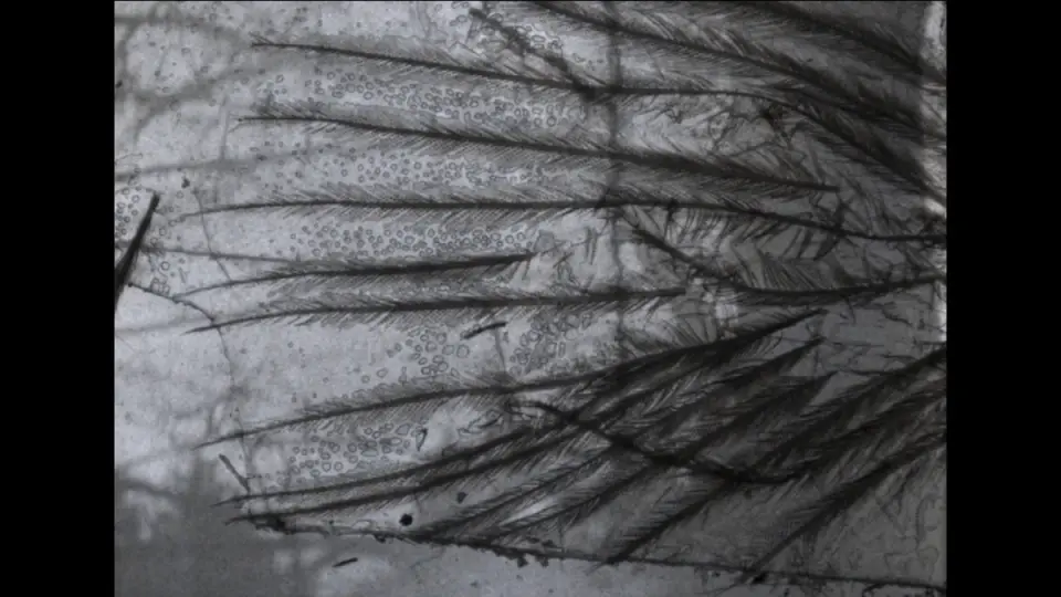 kuno.ist Artwork