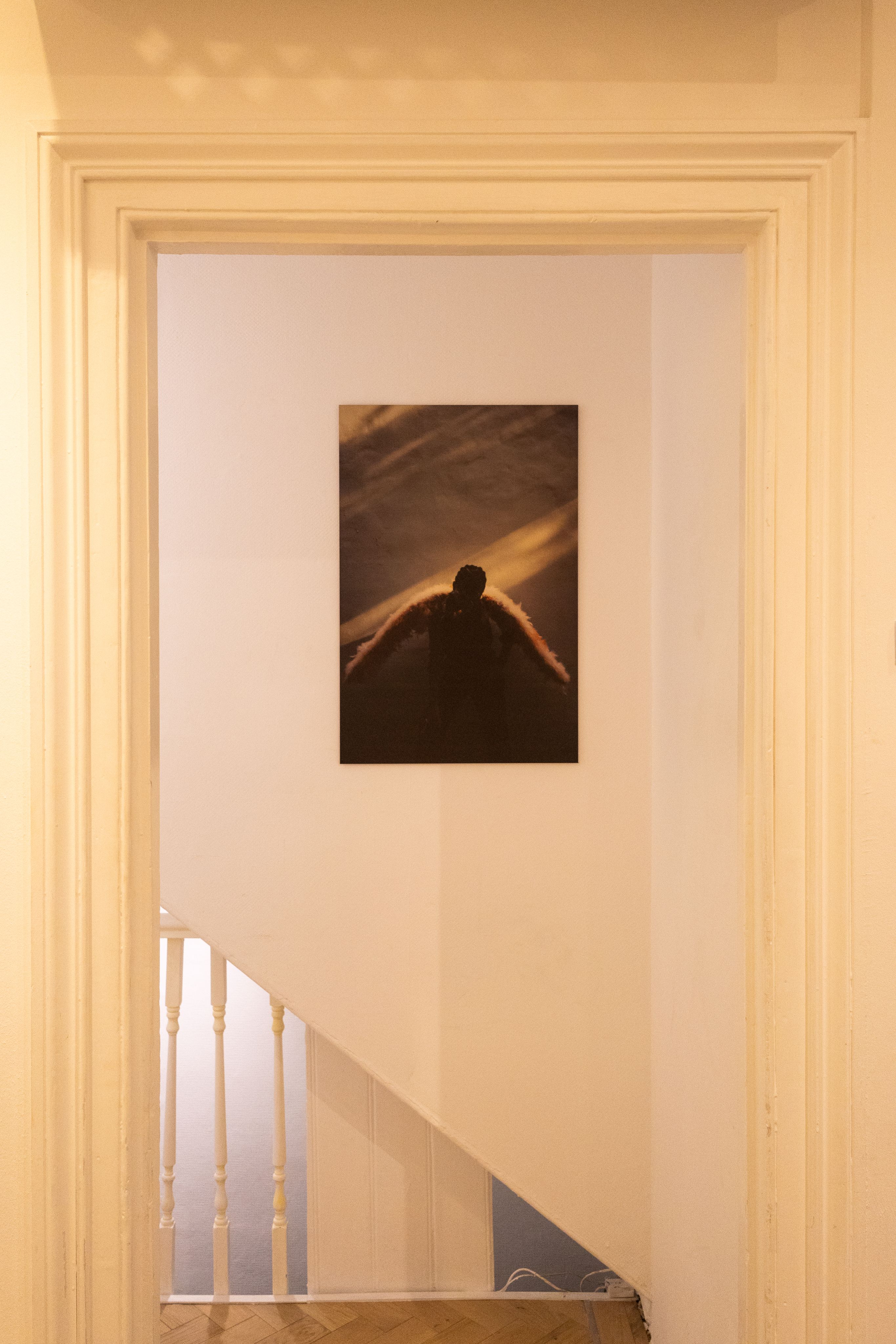 Freedom in Multitudes