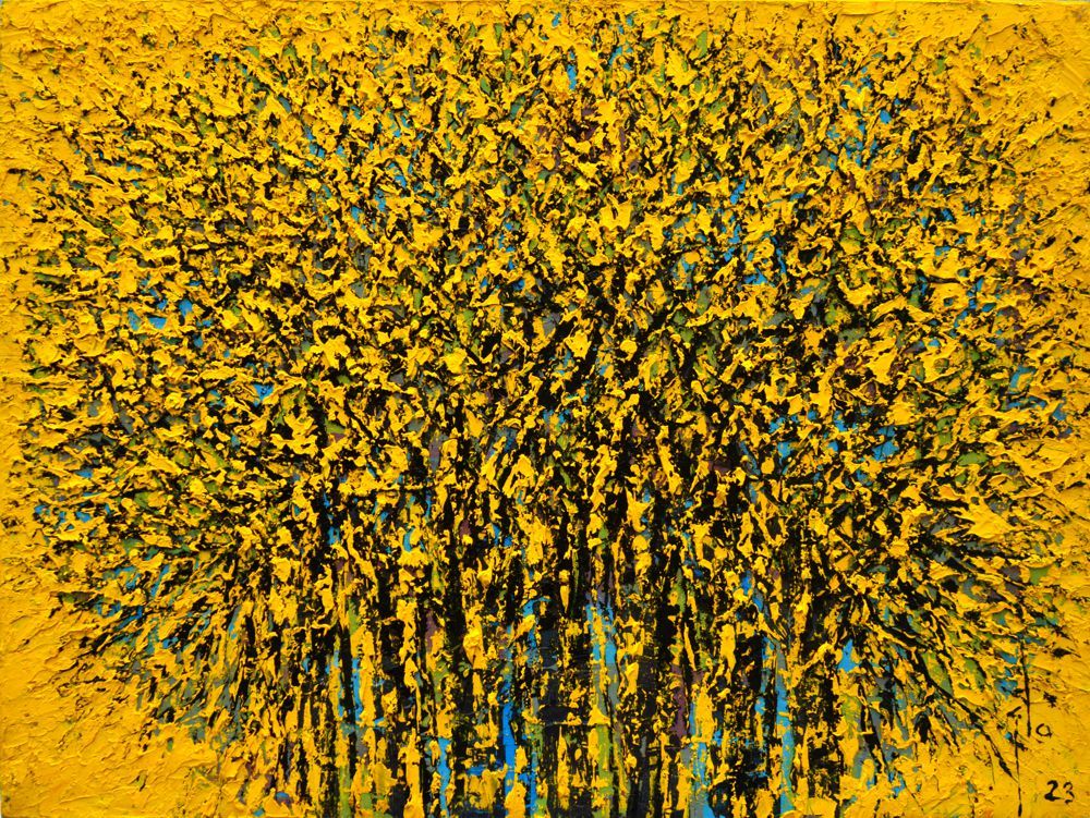 Collection Strategy & Portfolio Development