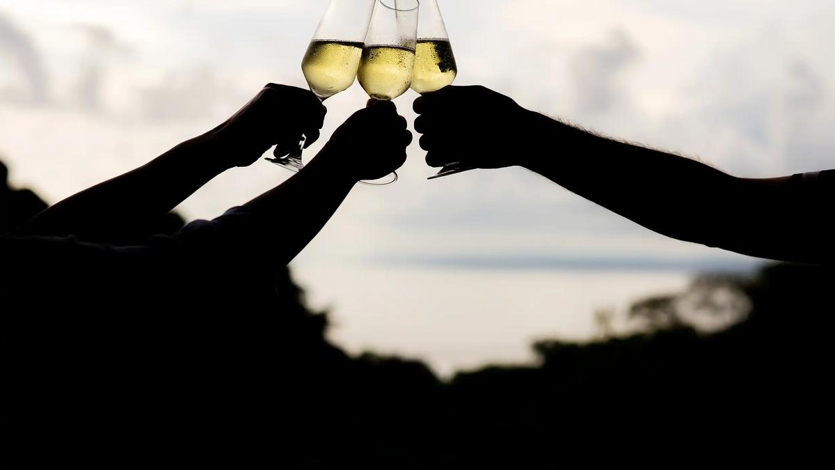 Friends toasting wine glasses in silhouette at dusk at Villa Caimito