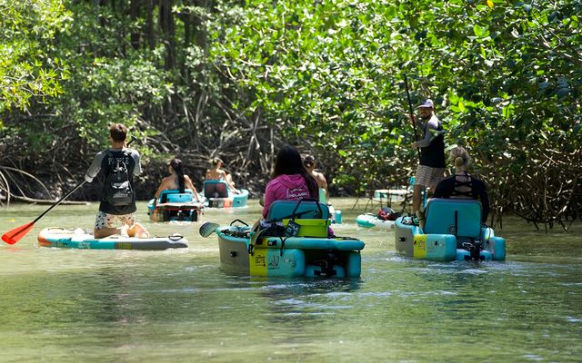 Isla Damas Pedal Kayak Tour