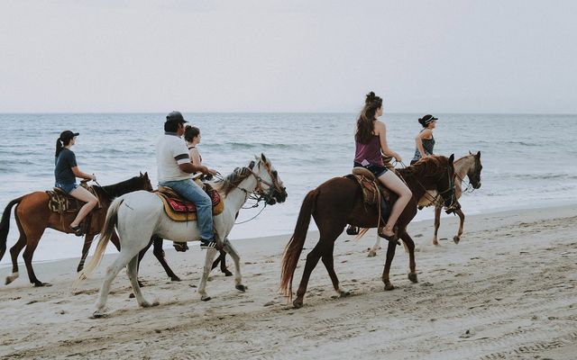 Horseback Rididng