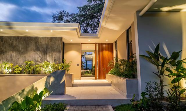 Jungle Haven