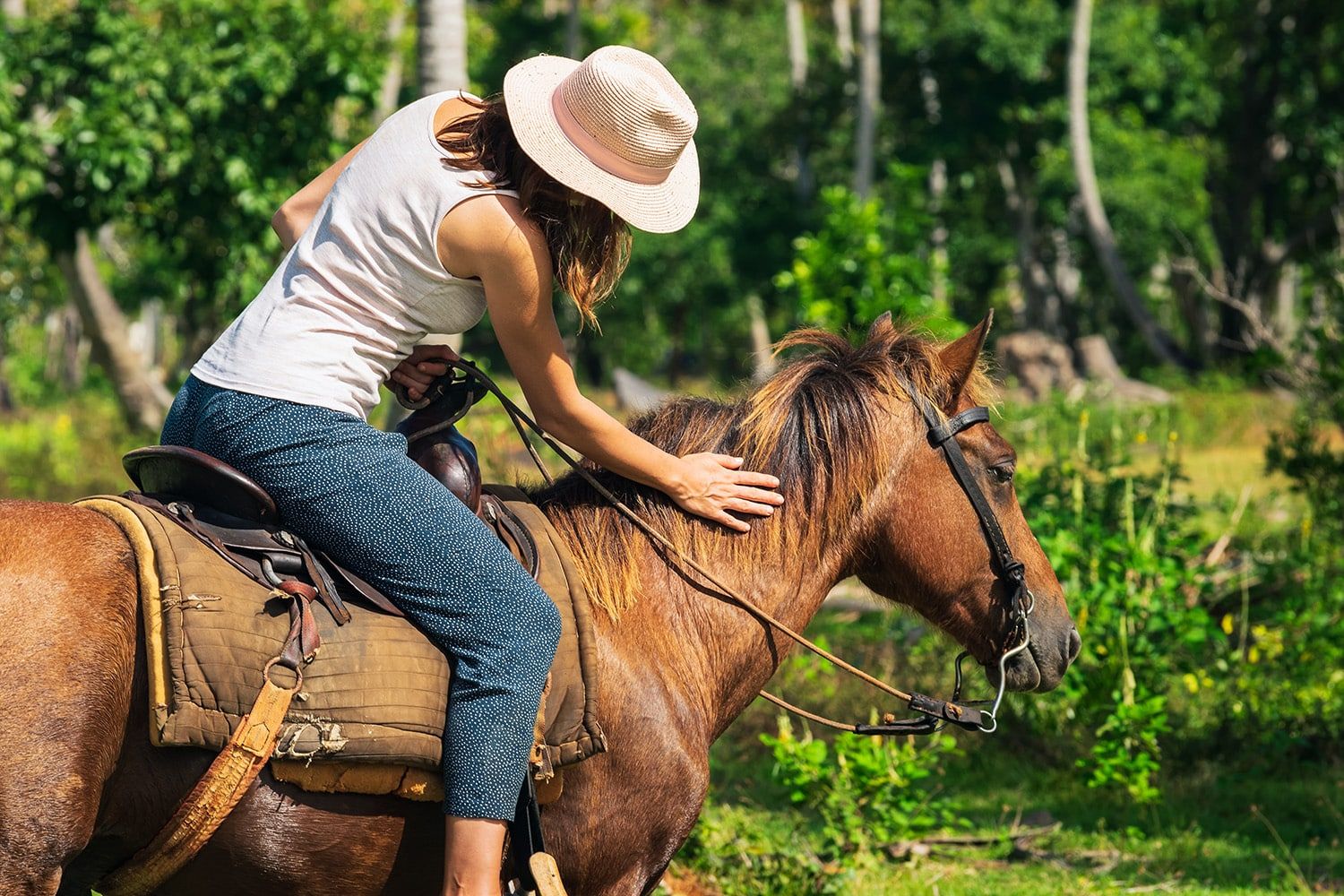 Horseback ride through jungle