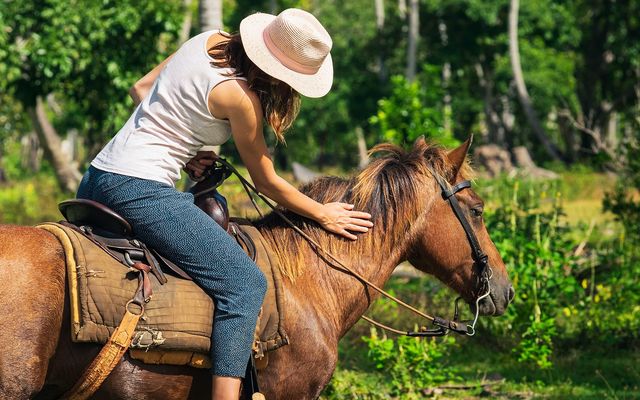 Horseback ride through jungle