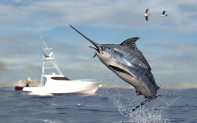 Big game fishing time, big swordfish marlin jumped hooked by sport fishing angler, fishing boat d render