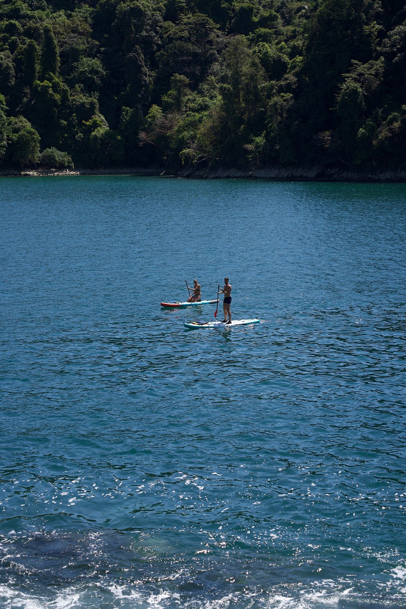 Ocean SUP