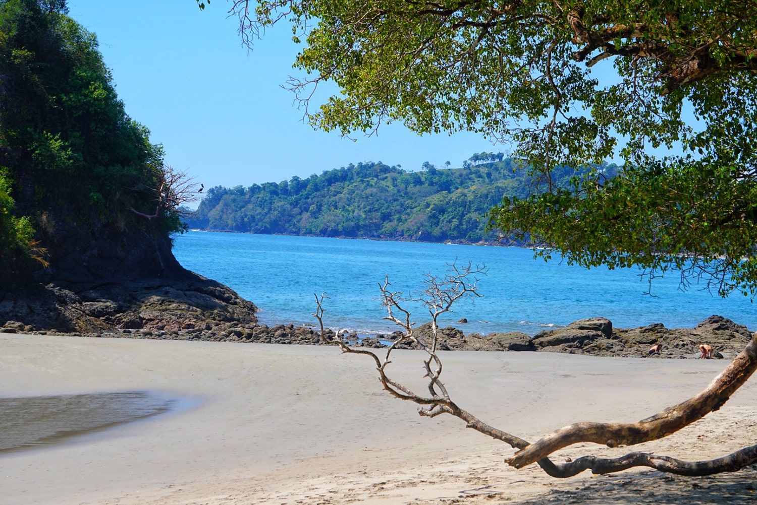 Manuel Antonio National Park Guided Tour