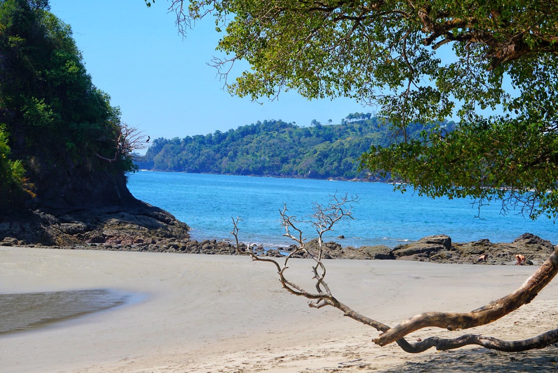 Manuel Antonio National Park Guided Tour