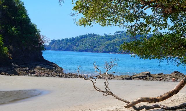 Manuel Antonio National Park Guided Tour