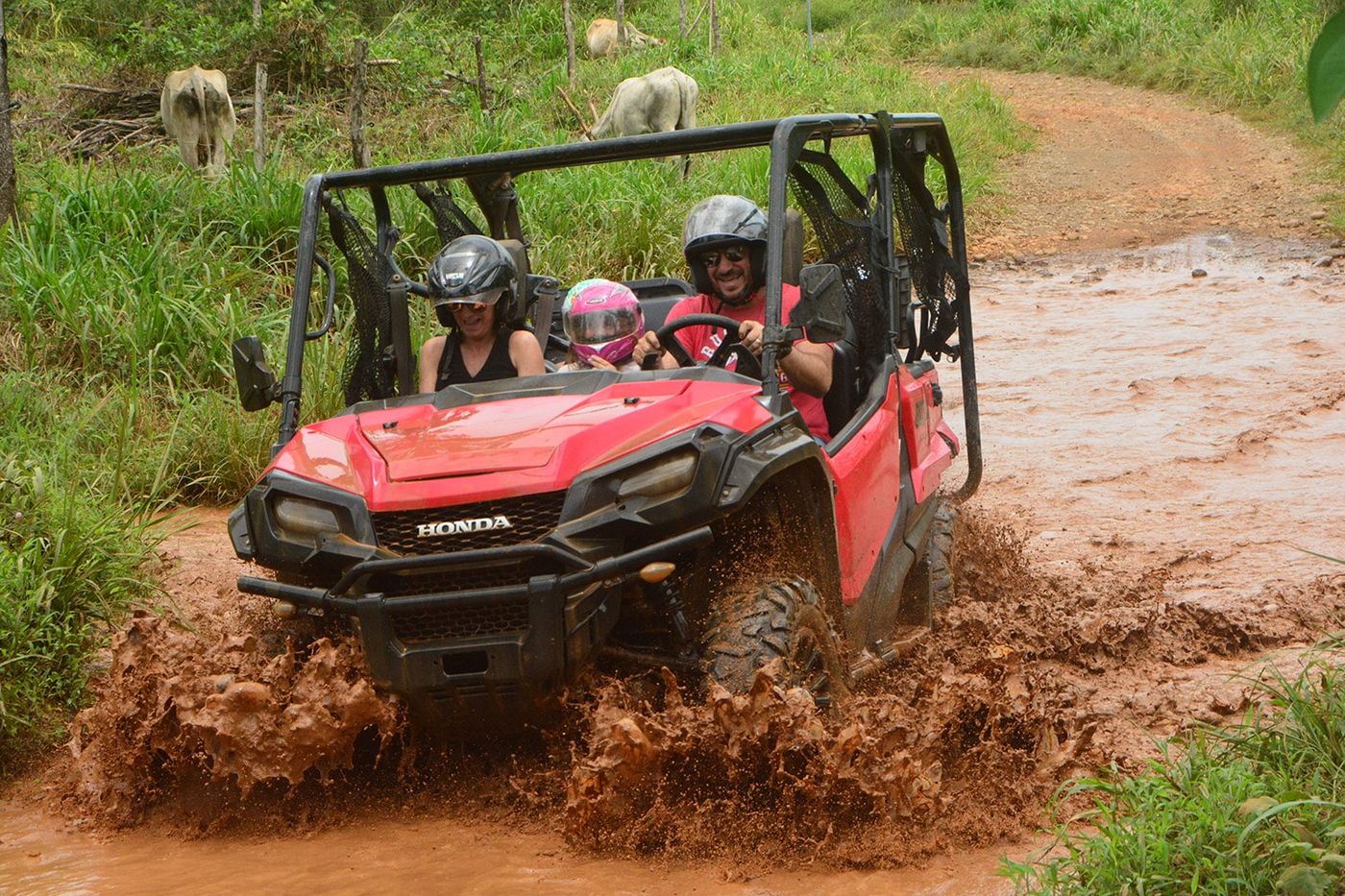 ATV Tours