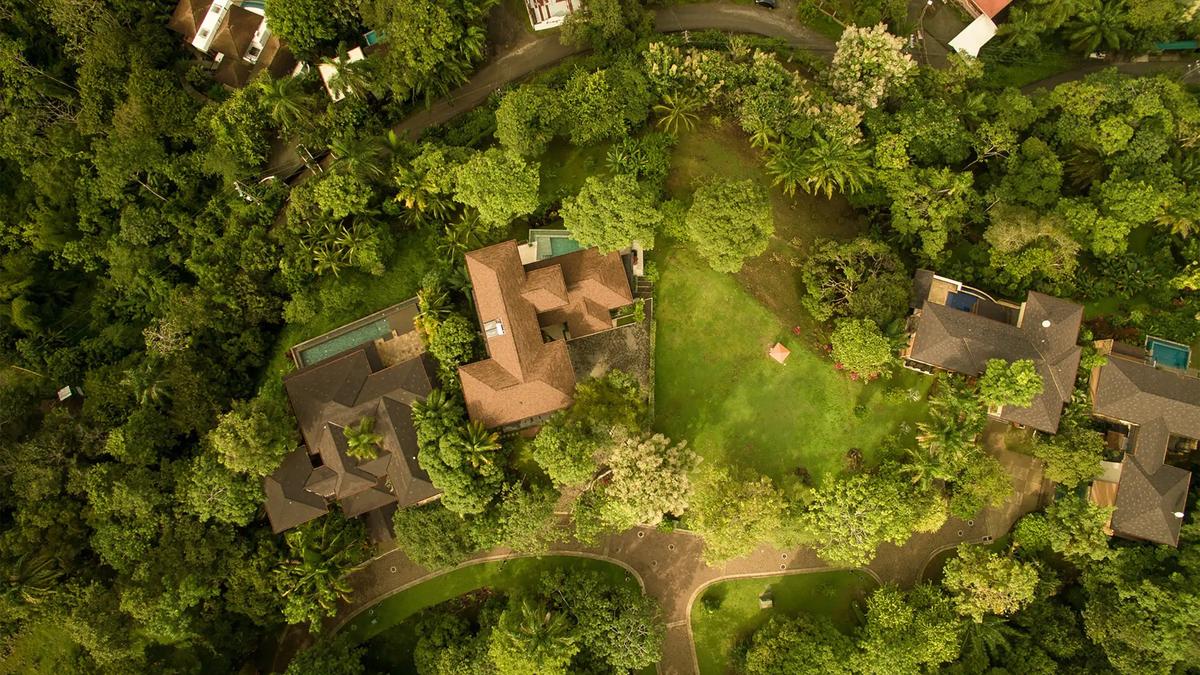 Overhead drone view of Casa Contee rooftops and lawn surrounded by rainforest