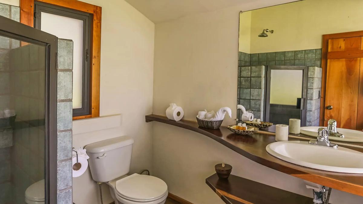 Casa Luz bathroom with curved wood counter, white sink and large mirror