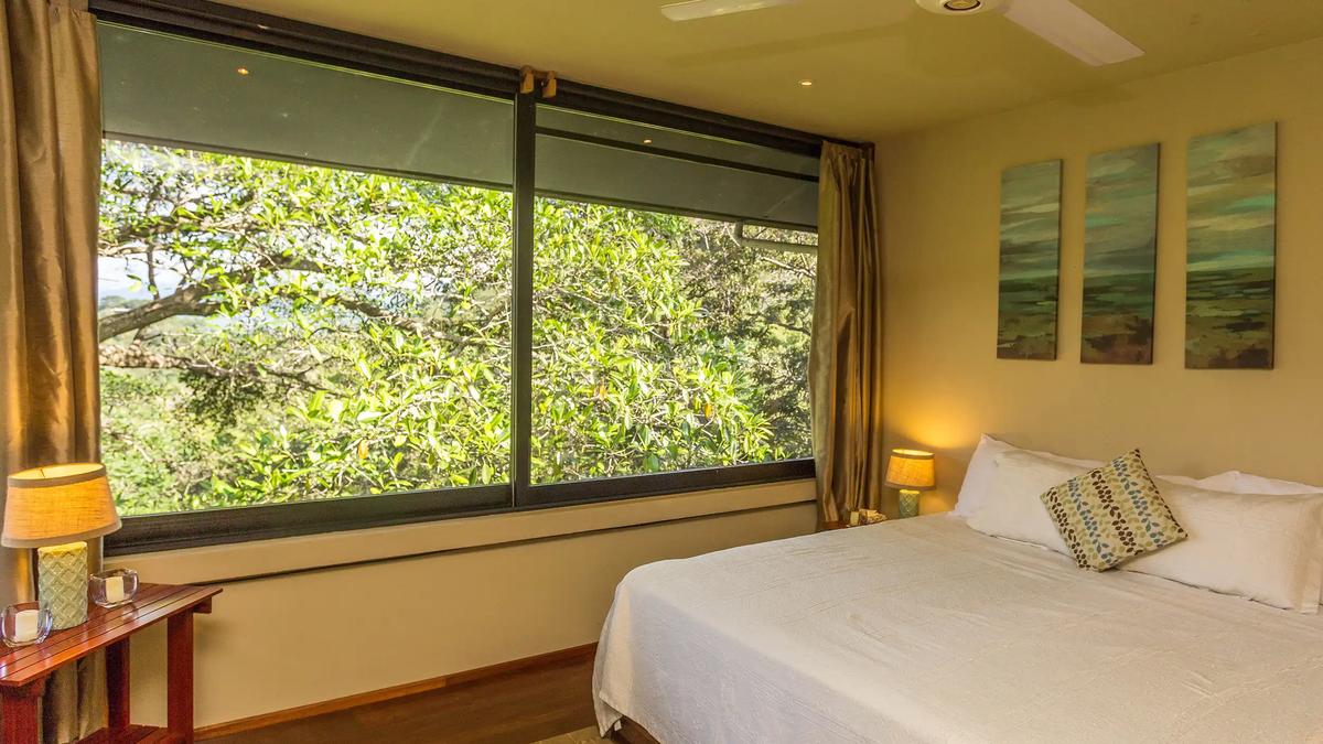 Casa Luz bedroom with wide picture window facing sunlit rainforest canopy