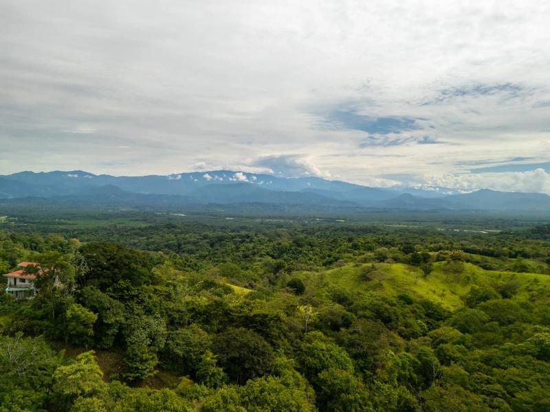 Casa Vista Verde Jungle view