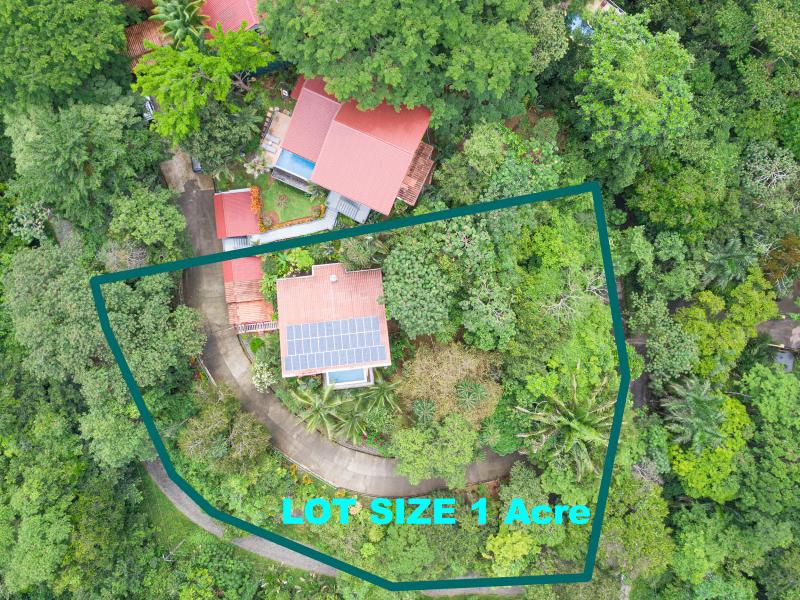 drone aeriel