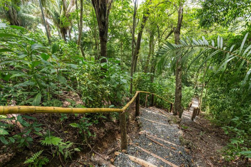 Casa Pura Paz garden path