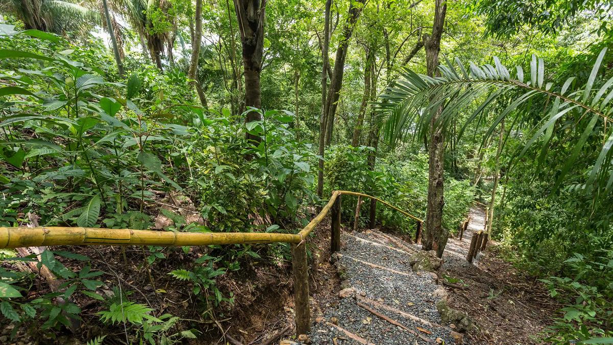 Gravel garden steps at Casa Pura Paz with bamboo handrails winding through the jungle