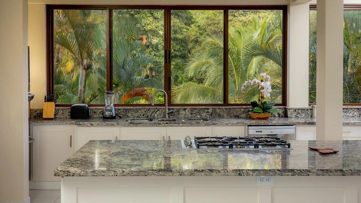 Granite kitchen counters at Casa Mariposa with palms filling the windows