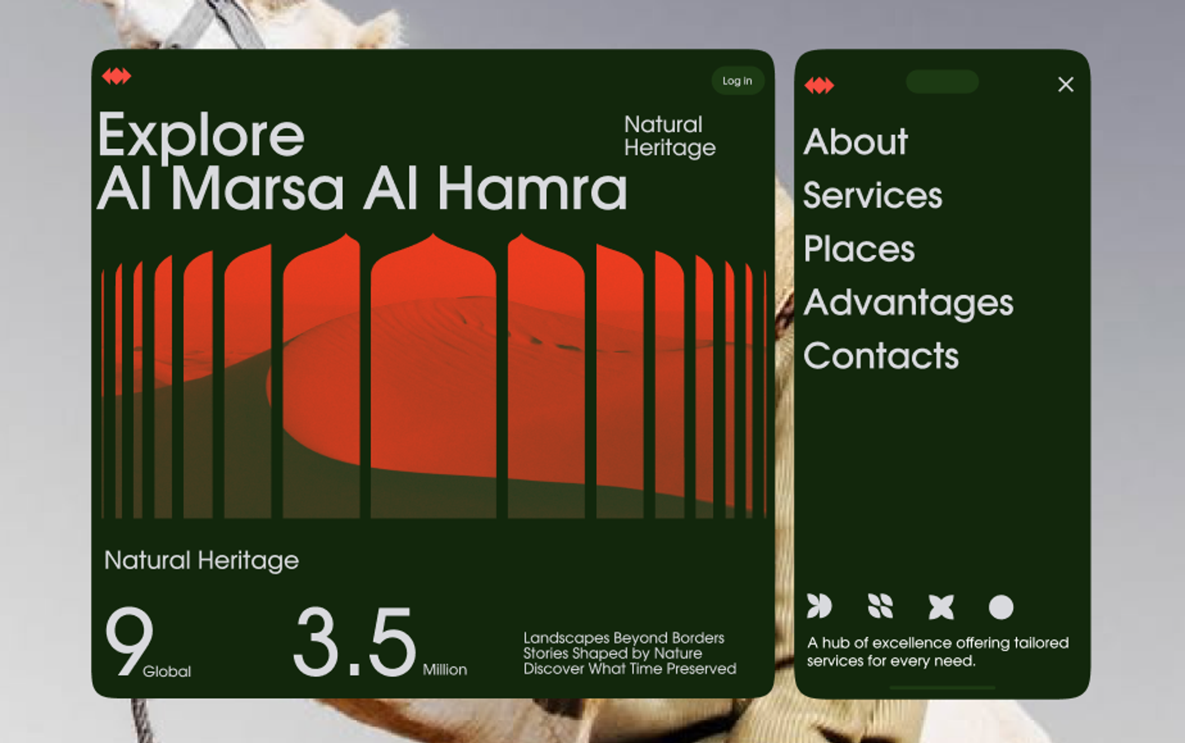 Al Marsa Al Hamra government services website
