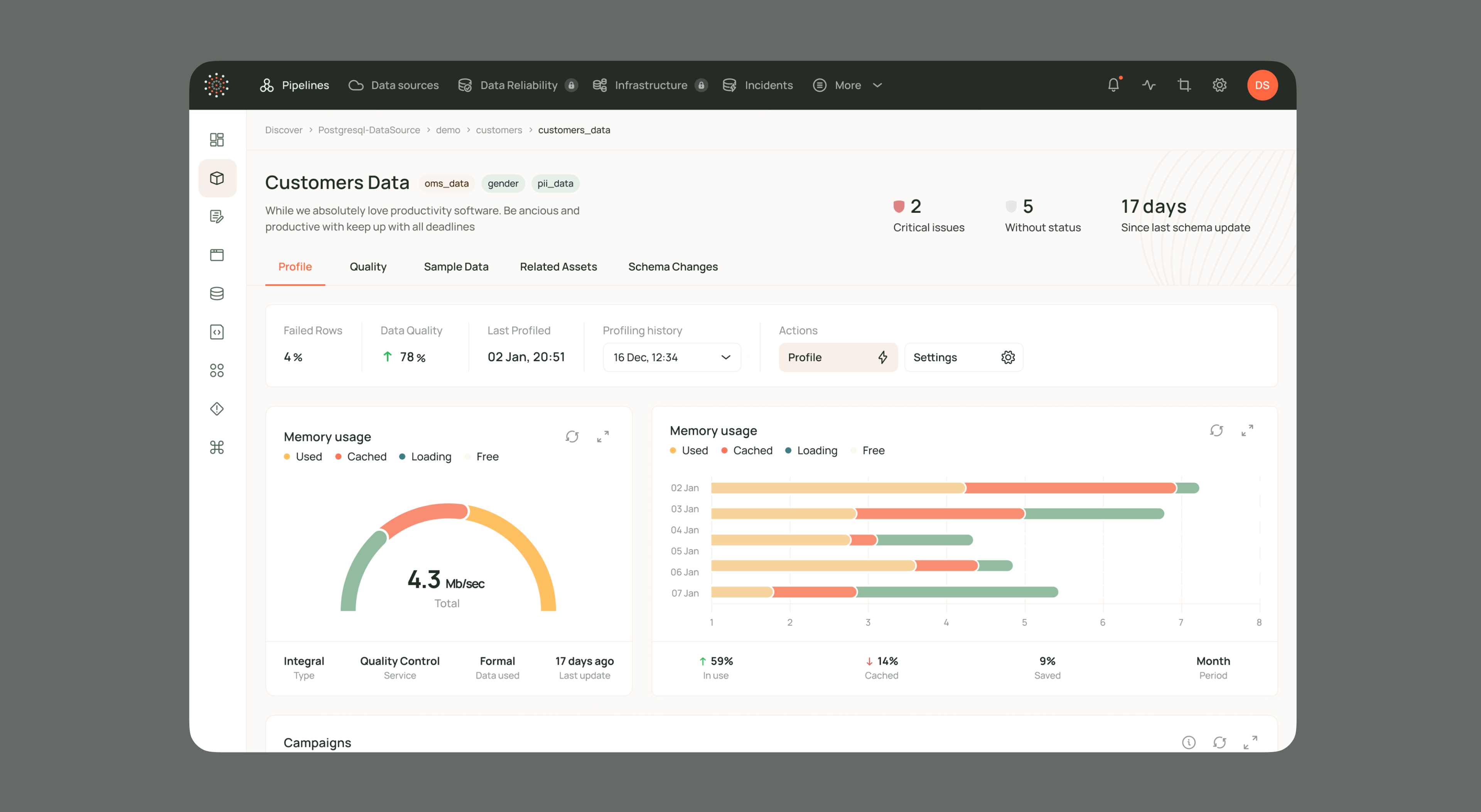 Customers data overview with memory usage charts