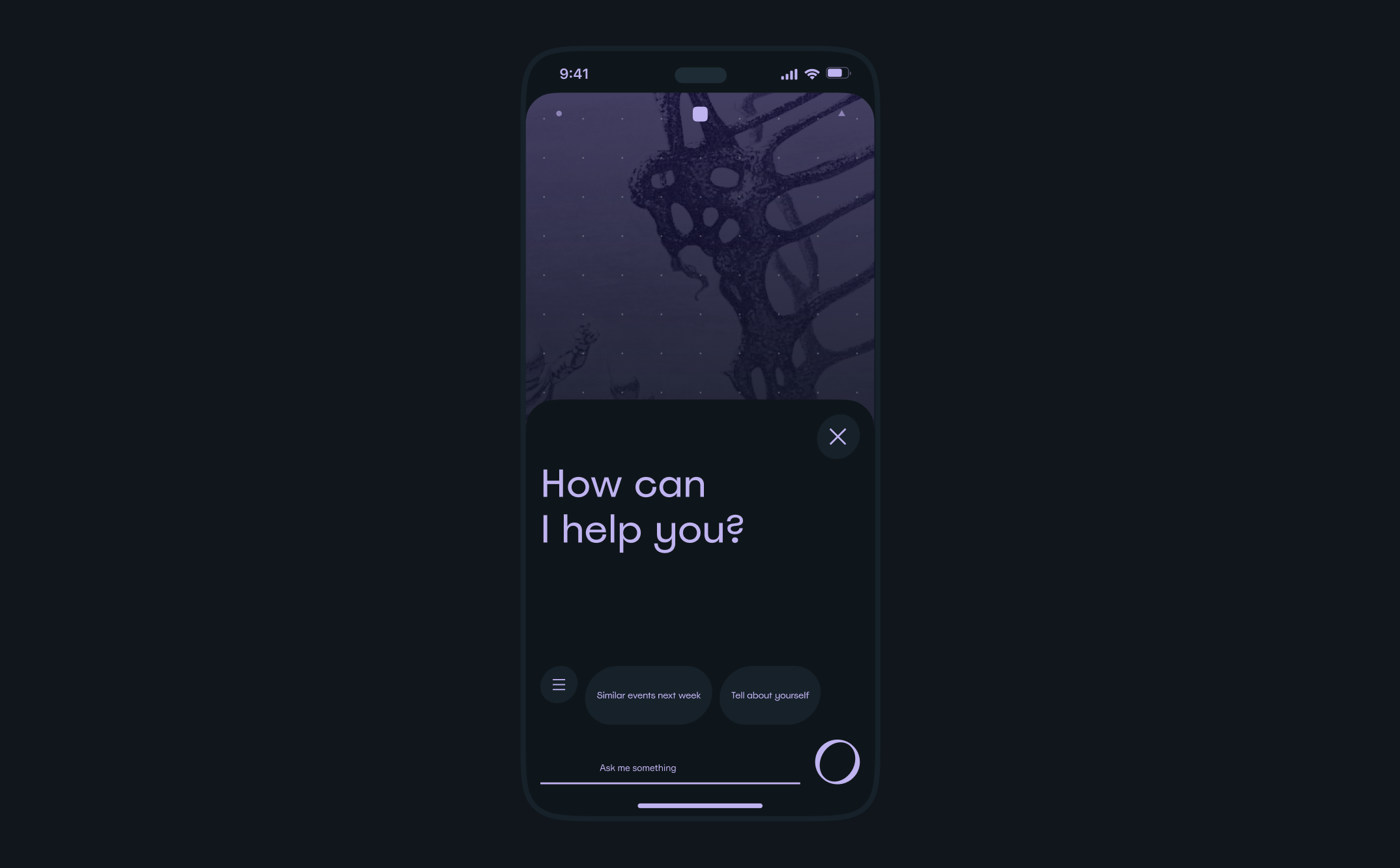 Voice assistant prompt: How can I help you?